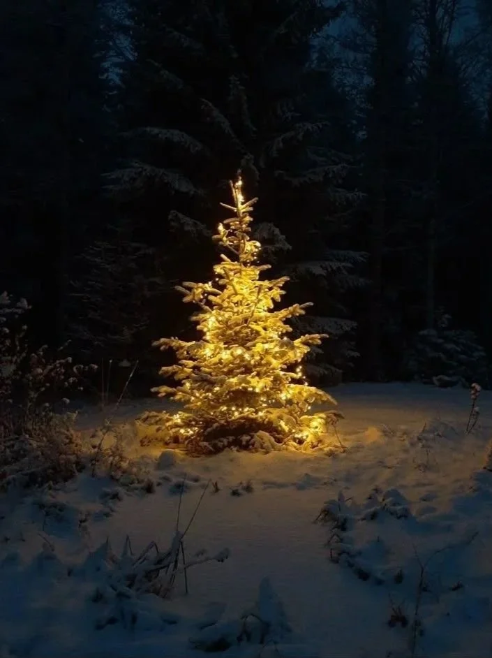 December Restorative