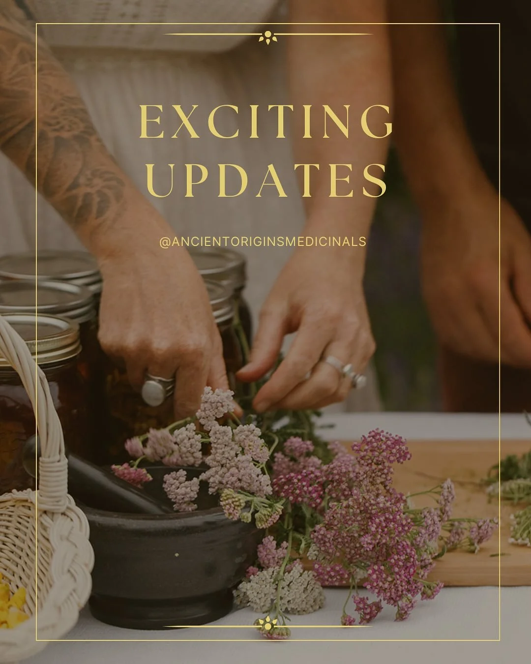 There are big changes happening at Ancient Origins! 

Please read through this post for a peak into everything that&rsquo;s happening behind the scenes. 

One of the major updates is that we&rsquo;ve decided to separate our work into two distinct bus