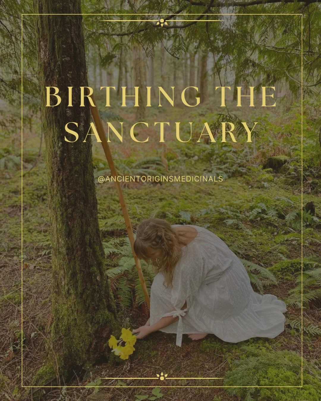 We are so grateful to be stewarding this vision.⁠
⁠
A sacred space devoted to remembrance, connection, and reverence. A place where we return to the knowing that we are not separate from the Earth, from Spirit, or from one another.⁠
⁠
If you align wi