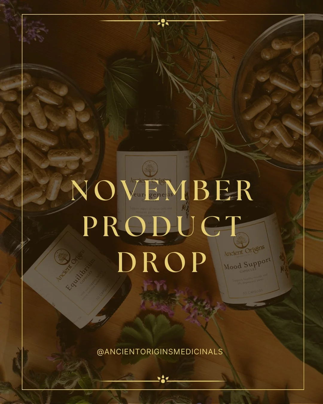 New Additions to the Apothecary 🌿⁠
⁠
We are really excited to be sharing these three potent, clinically formulated allies for modern health challenges:⁠
⁠
 ✨ Inflammation Ease &ndash; High-potency Boswellia + Curcuma + Black Pepper for pain, mobilit