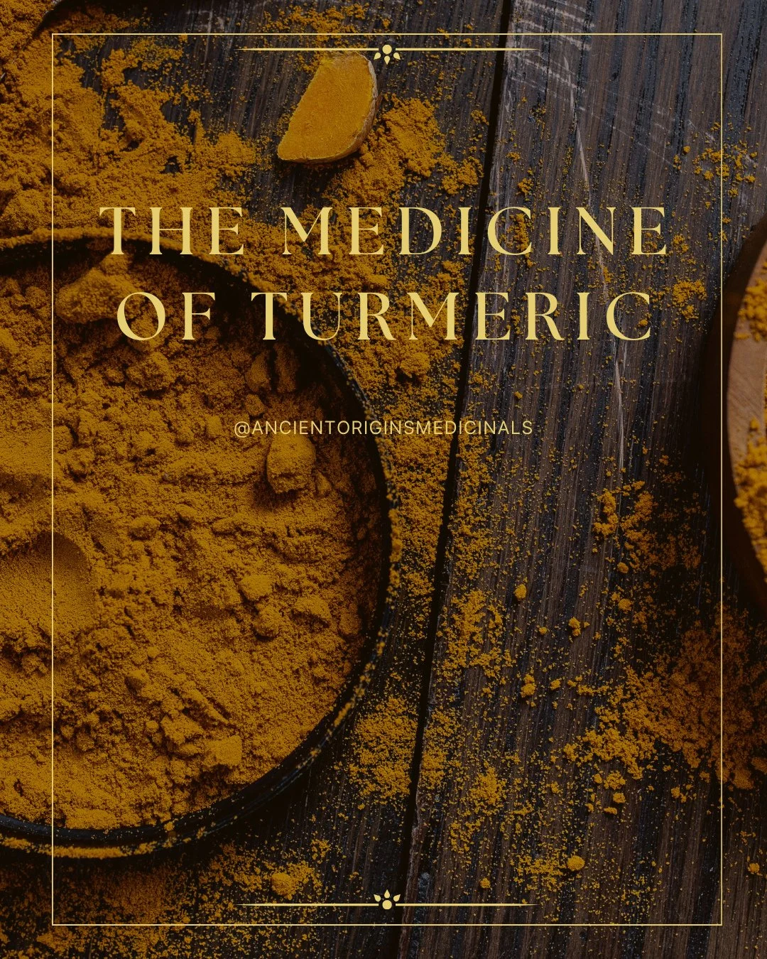 Turmeric (Curcuma longa) is one of the most widely studied and traditionally used botanicals in both Ayurvedic and Chinese herbal systems - for good reason! ⁠
⁠
Valued for its high concentration of naturally occurring curcuminoids, this vibrant golde