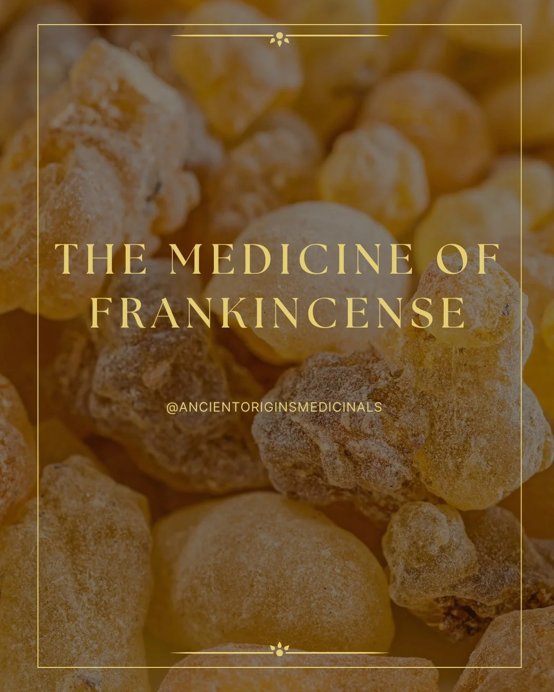 All About Frankincense ✨⁠
⁠
If you called to work with this resin, comment &ldquo;frankincense&rdquo; and we&rsquo;ll send you info about the products - including our newest formulation - containing frankincense in our apothecary! ⁠