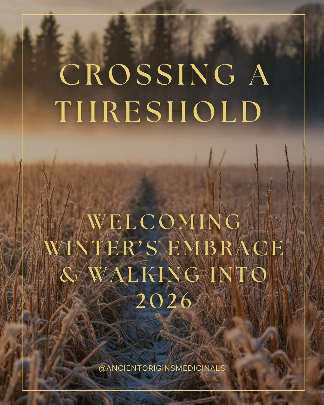 The beginning of a new calendar year invites us into deep acknowledgement.⁠
⁠
What was difficult, what reshaped us, and what clarified itself without words? What strengthened us, matured us, and quietly came into alignment? What new seeds are being p