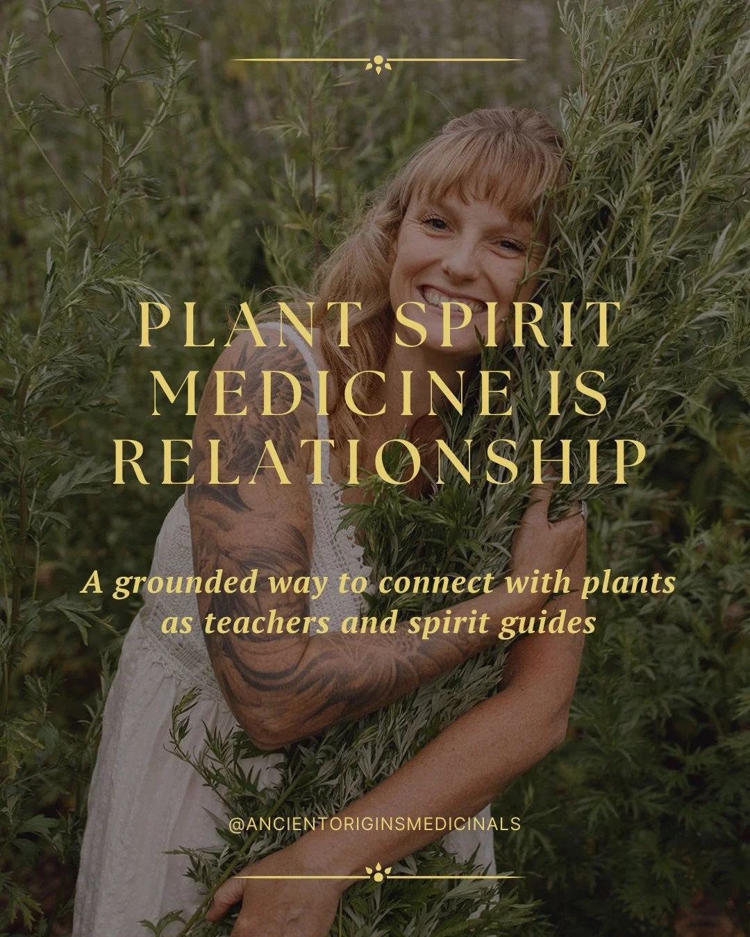 Plants are our ancient elders, allies and guides. They have been here through every turning of the earth, quietly watching, adapting, and remaining in relationship with the living world. When you slow down and meet them with sincerity, something with