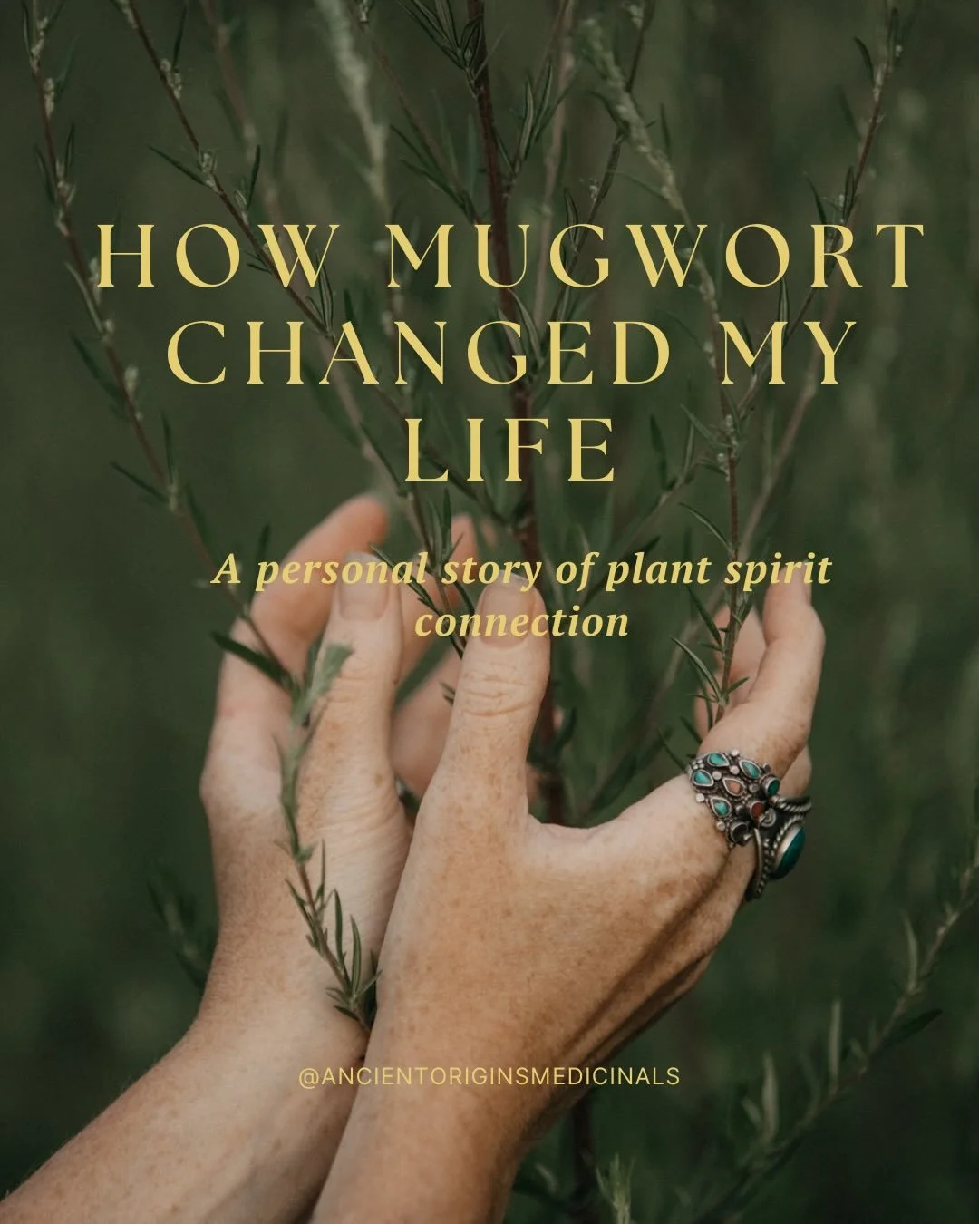 I was a child who arrived remembering.

Remembering other lifetimes. Remembering the spirit world. Remembering why I had come here. There was no one I could speak to about it, so I went to the forest. The trees held me. The unseen kept me company.

W