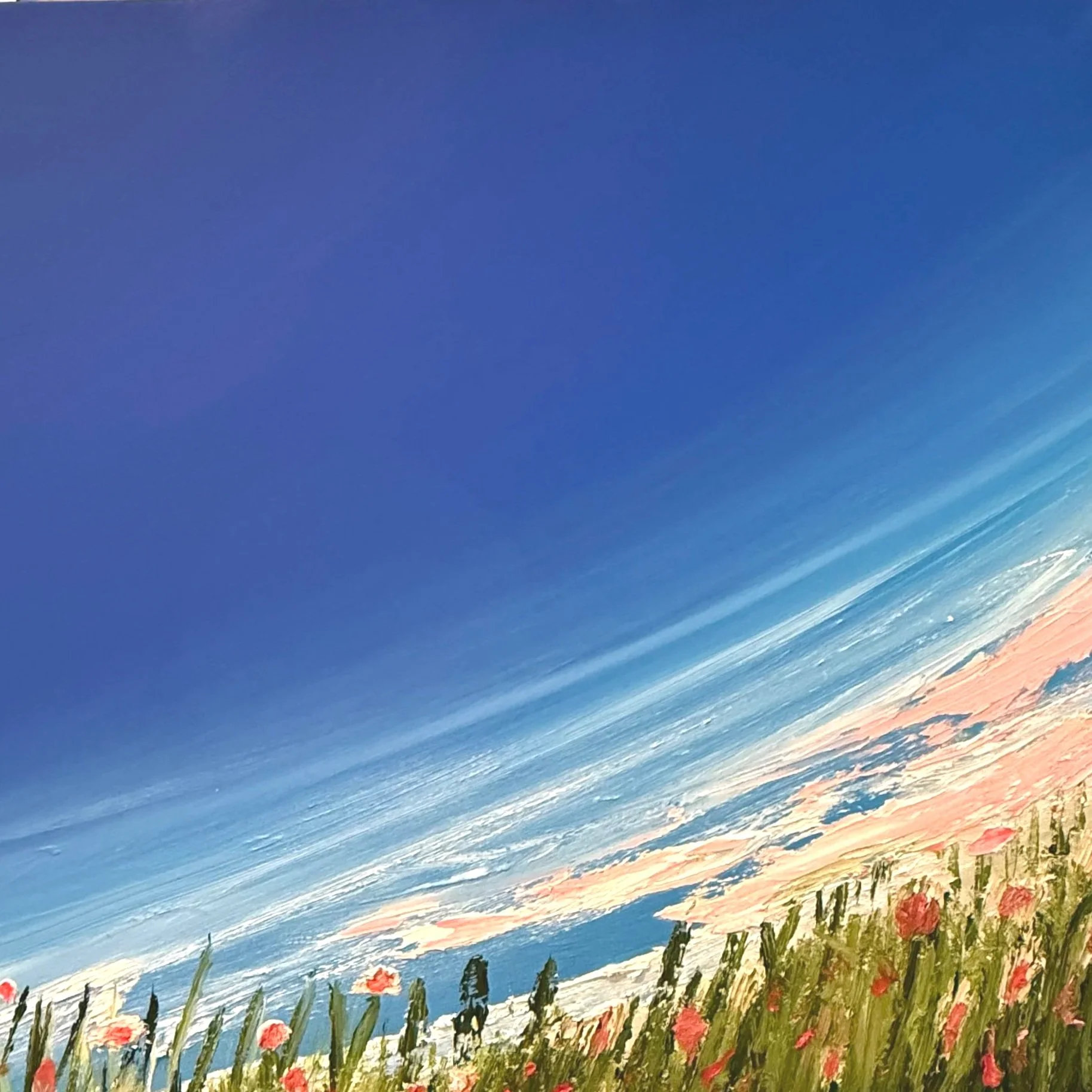 Beach Rose Arrival 