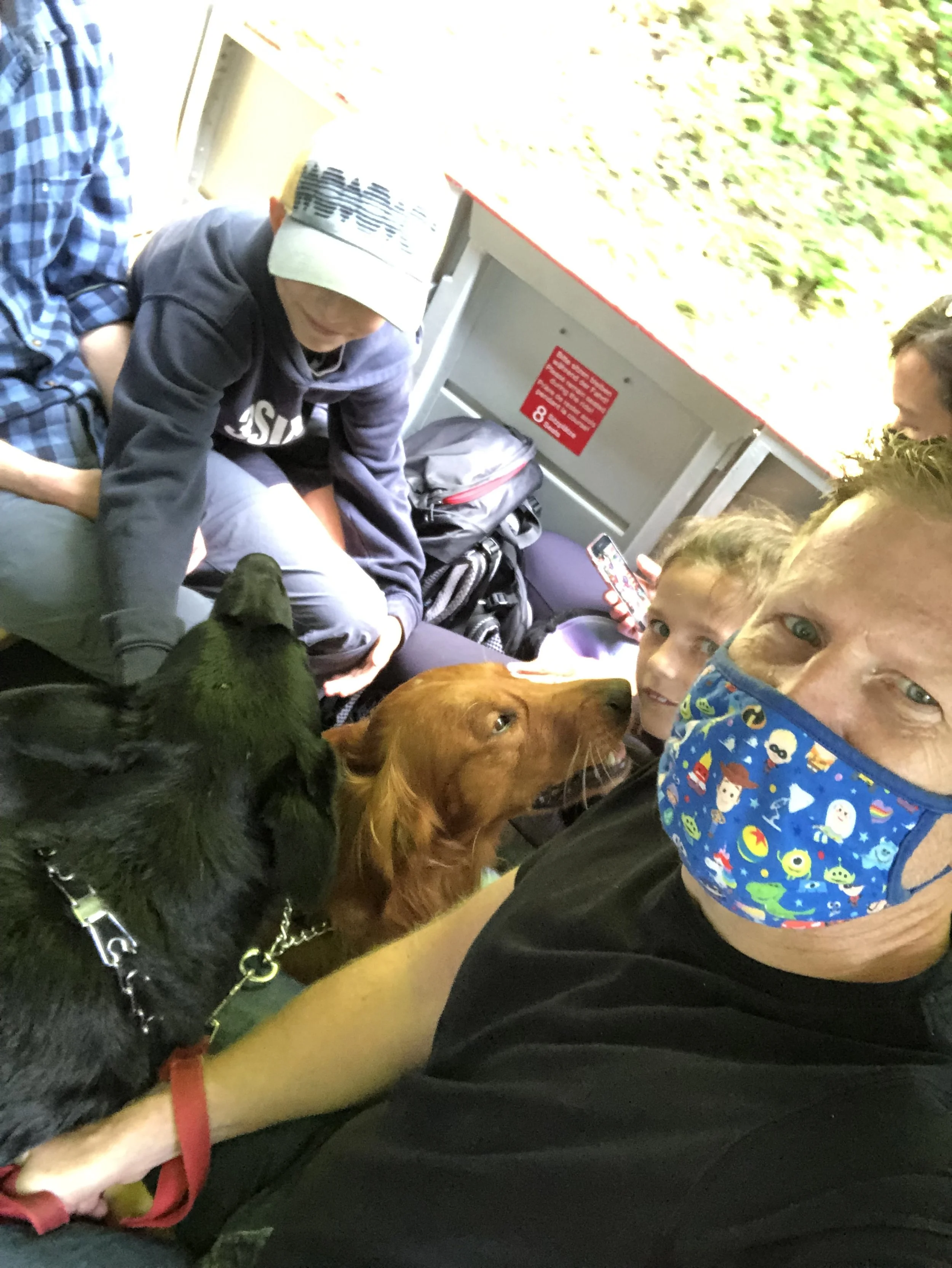 Required Dog Training