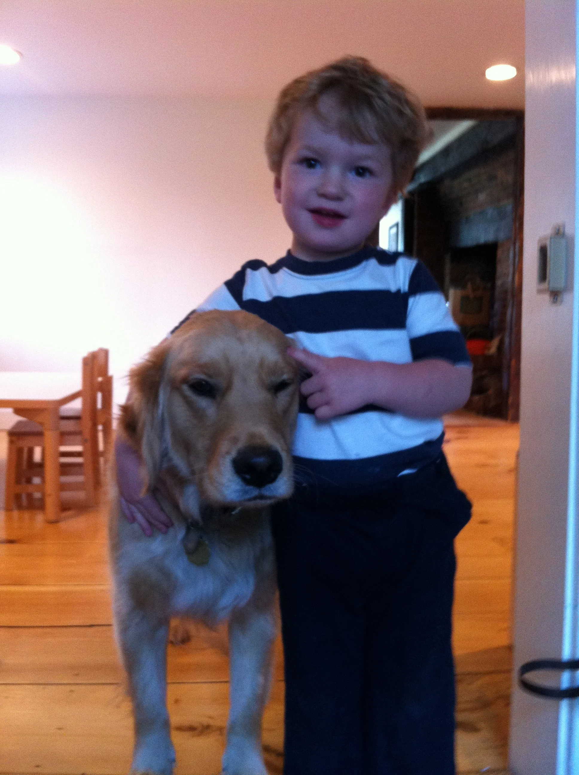 A photo of my son at 2 years old with our Golden Retriever Roxy.