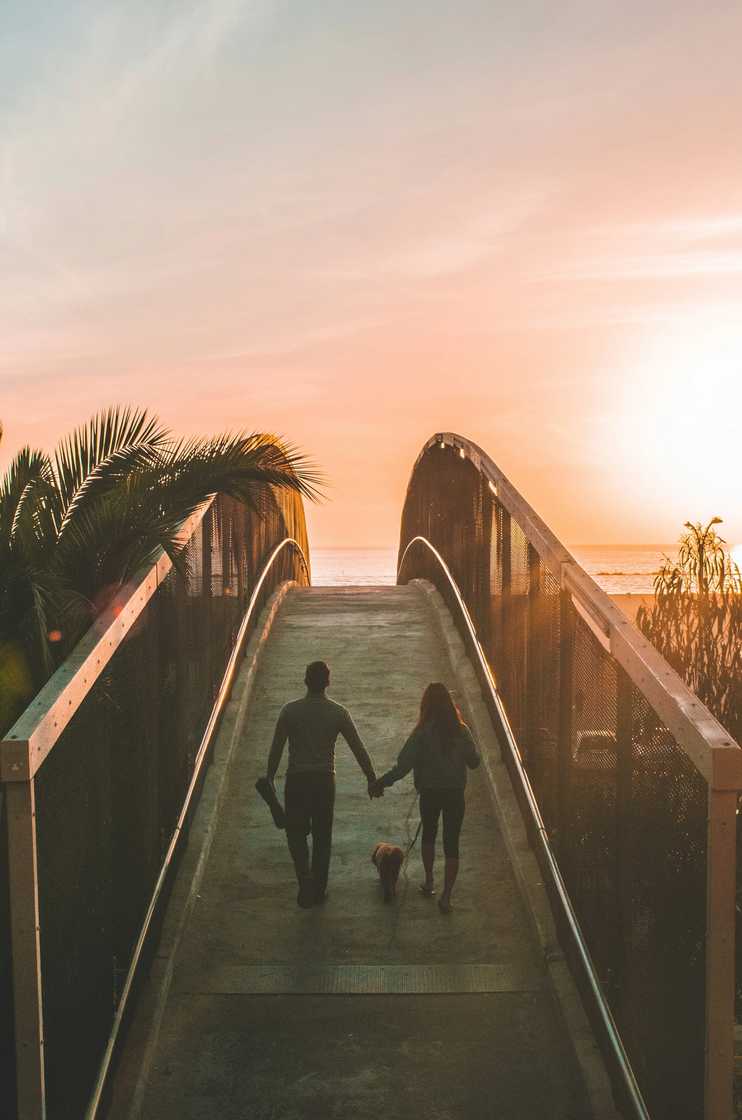 A couple walking with their dog on a raised pedestrian bridge at sunset, overlooking the ocean with palm trees on the sides.