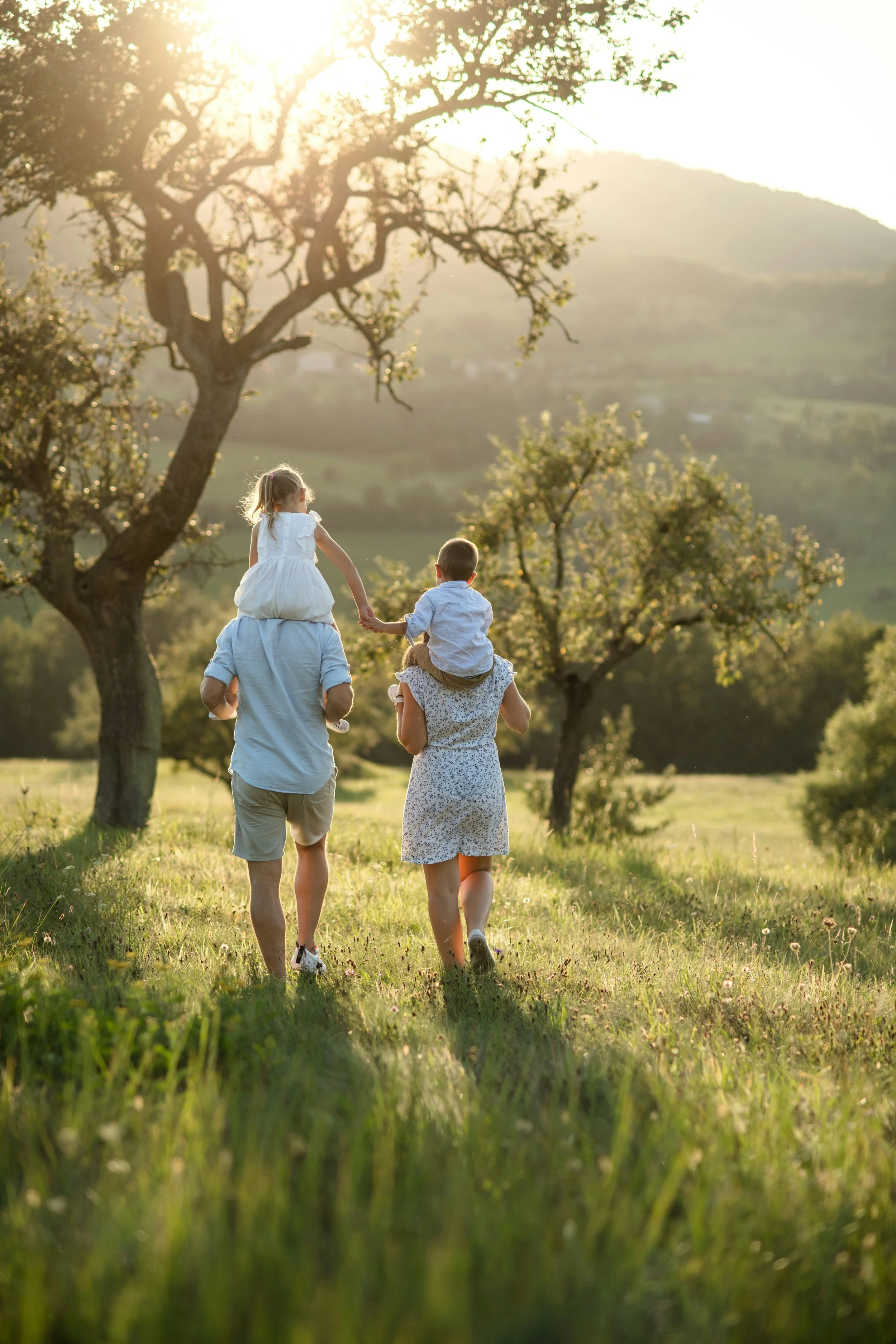 A family of four walking through a grassy field with two trees and mountains in the background during sunset.