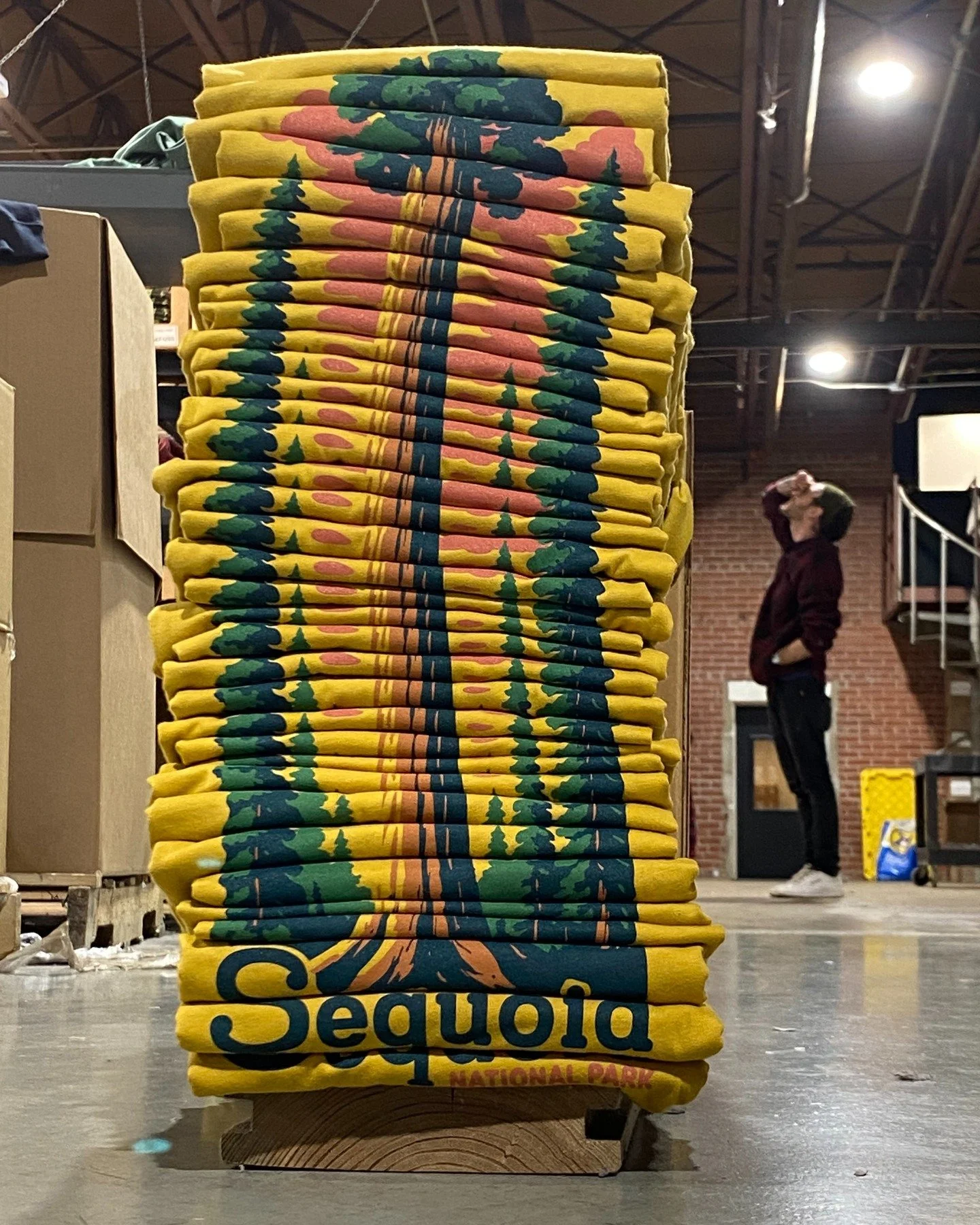 Wow! Sequoia trees are tall. These colors though....💯
#nationalparks #tshirtprinting #gooddesign #artforparks #screenprinting