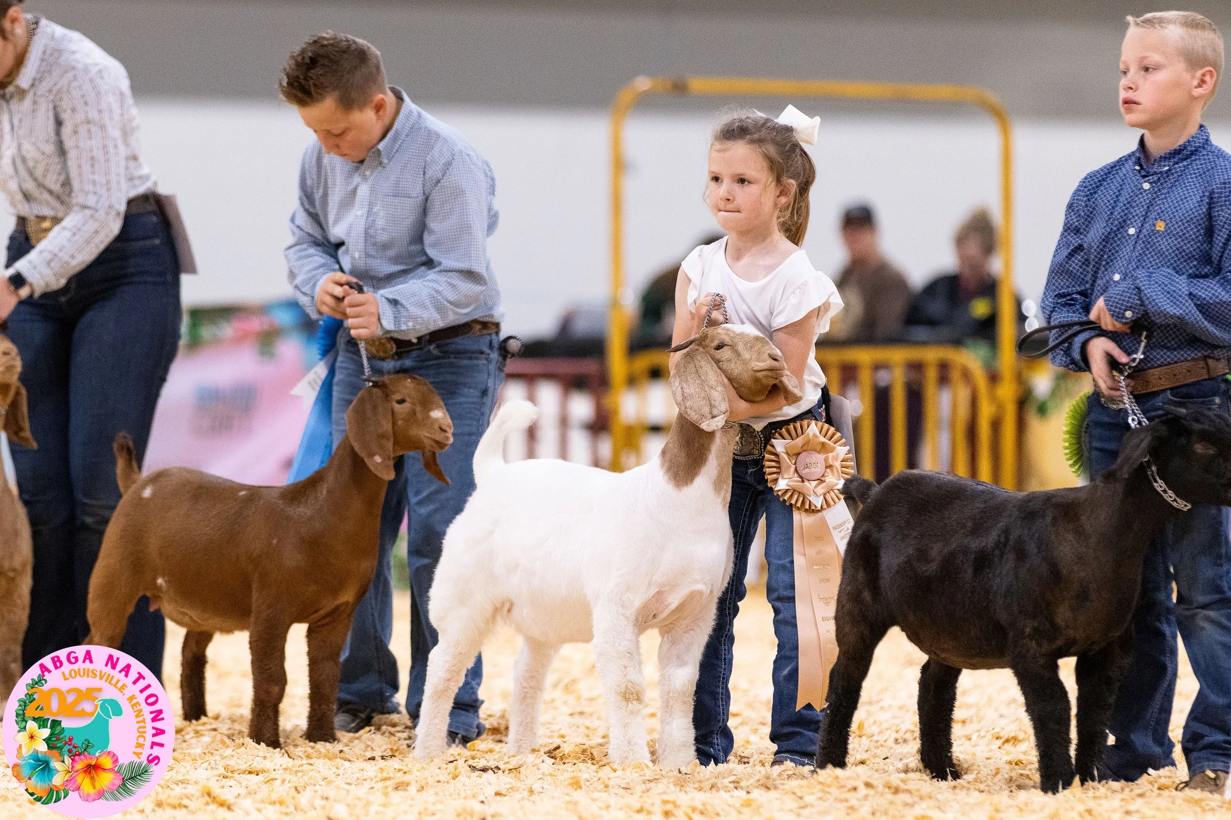 Children showing goats at a livestock show, with boy in checkered shirt, girl with ribbon, and other children holding goats, on wood shavings floor.