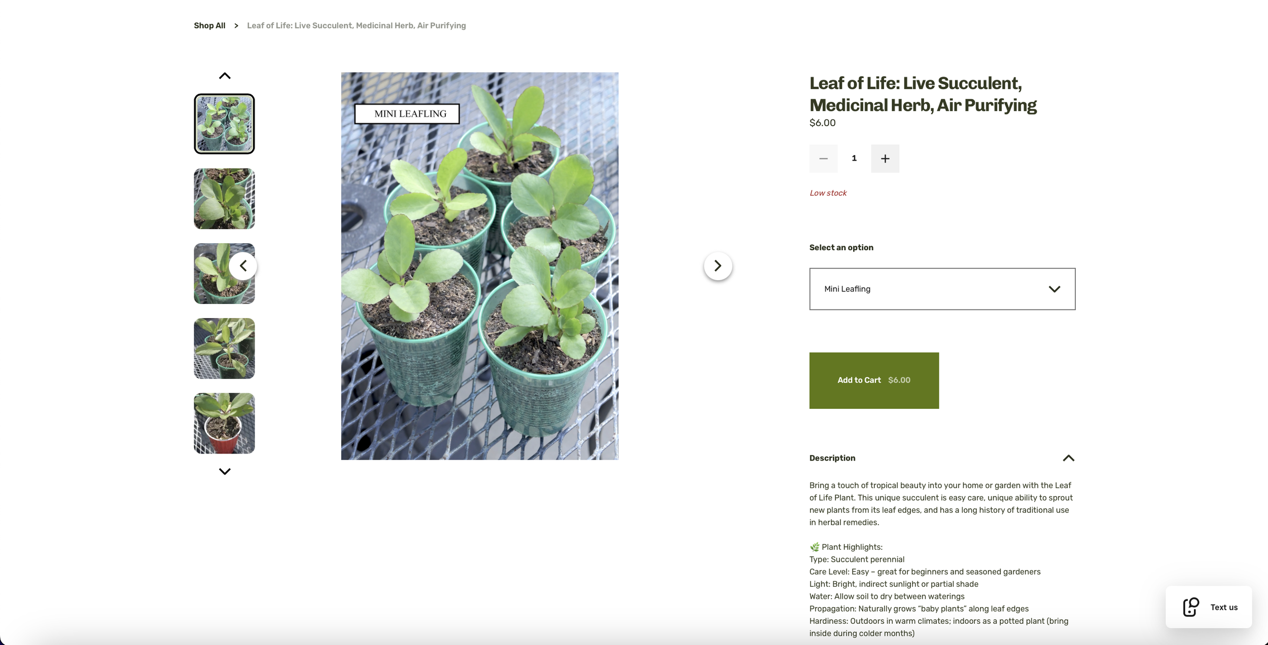 Planted with Luv, a New Orleans based gardener selling seeds and live plants