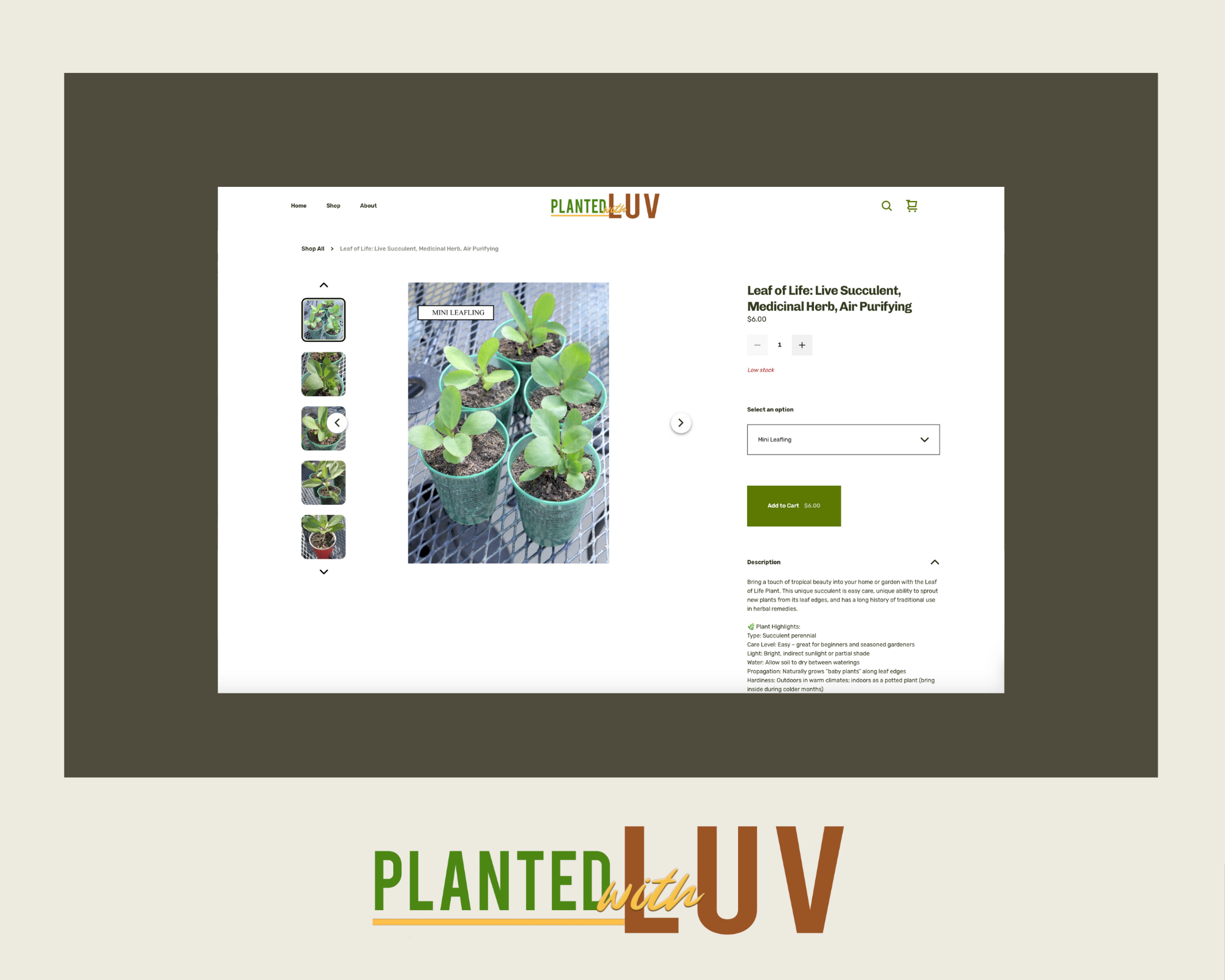 Planted with Luv, a New Orleans based gardener selling seeds and live plants