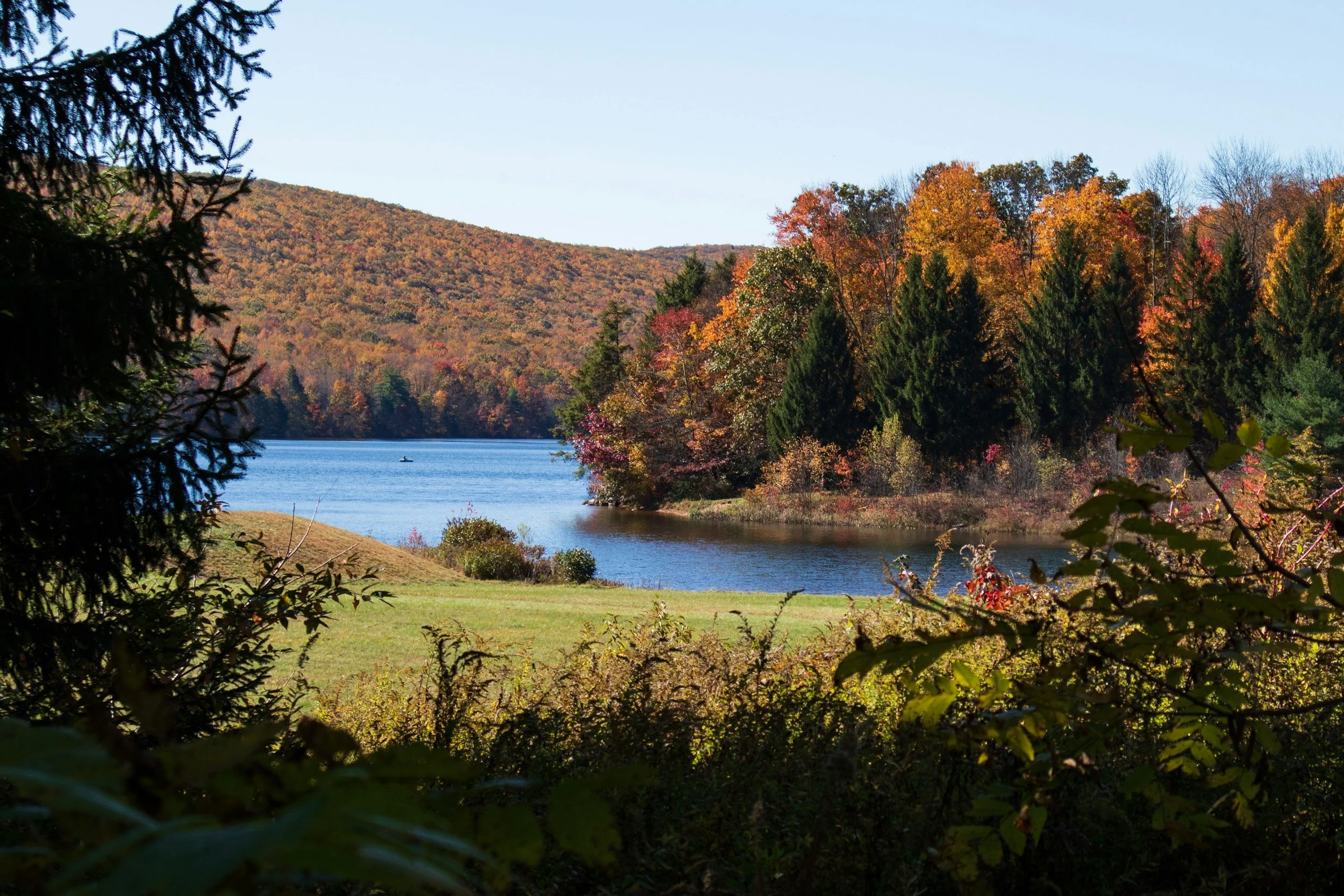 Fall foliage in rural Pennsylvania