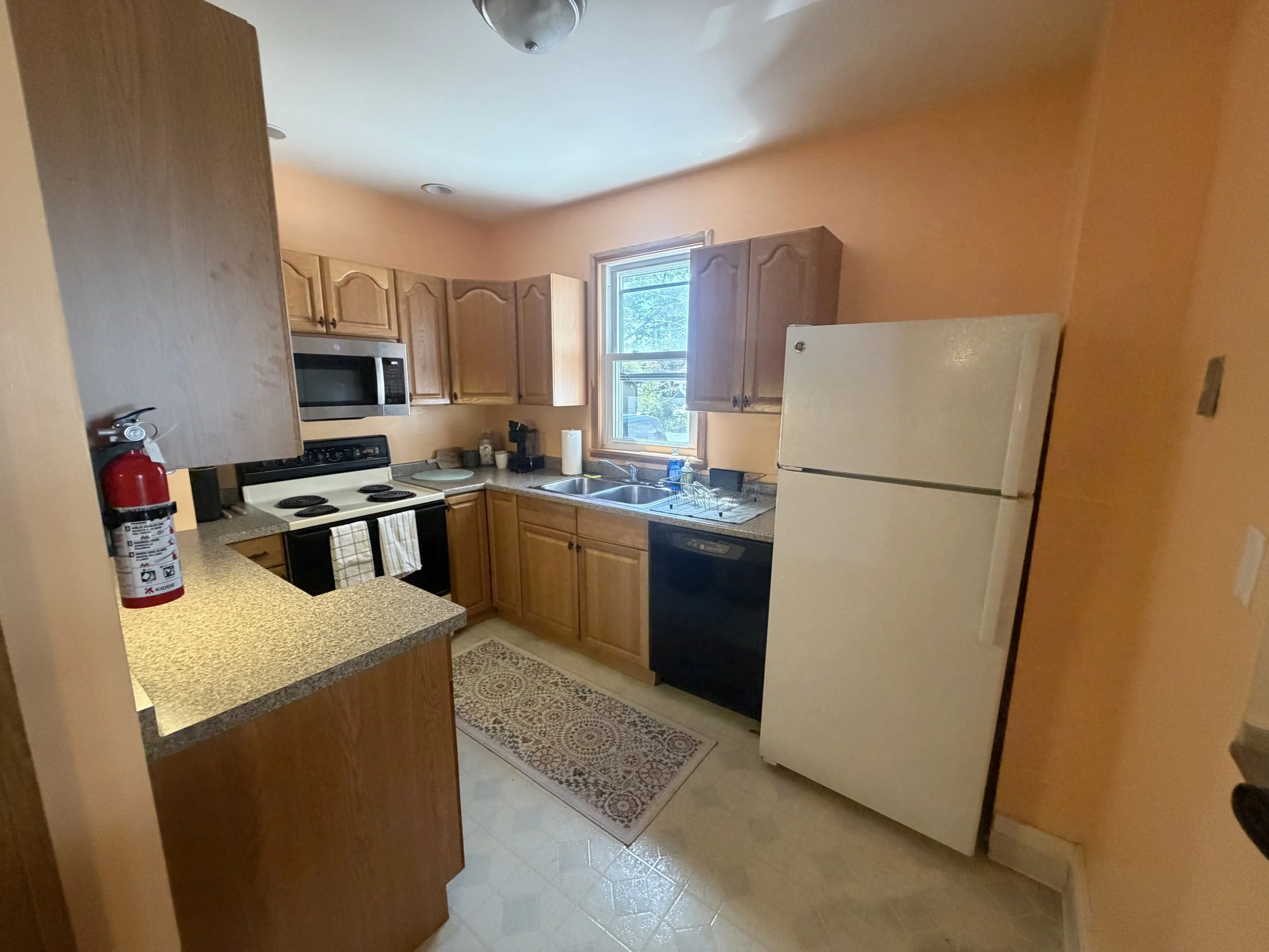 Terrace Pk Kitchen 2.jpg