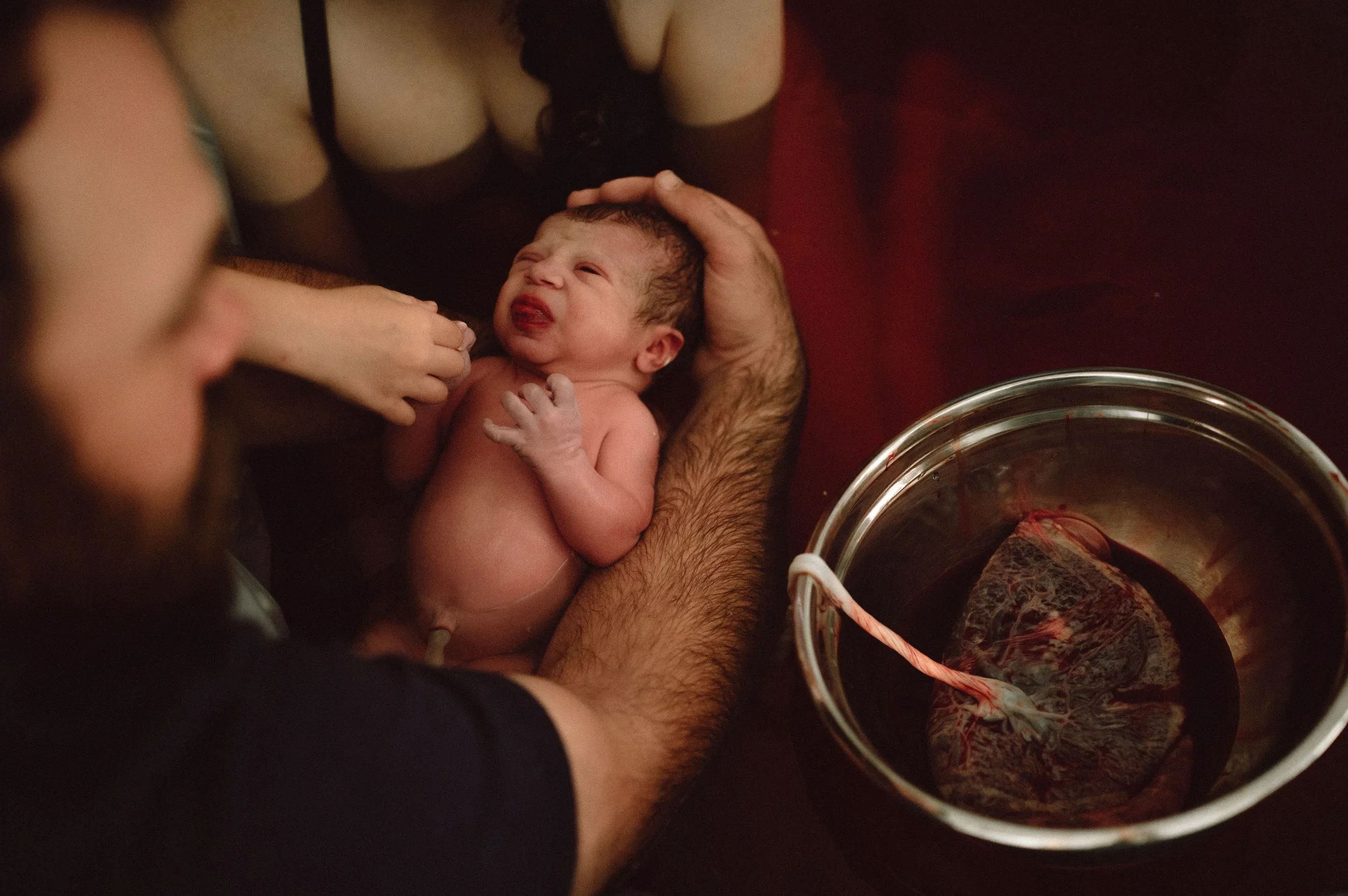 How to Properly and Safely Store Your Placenta After Birth