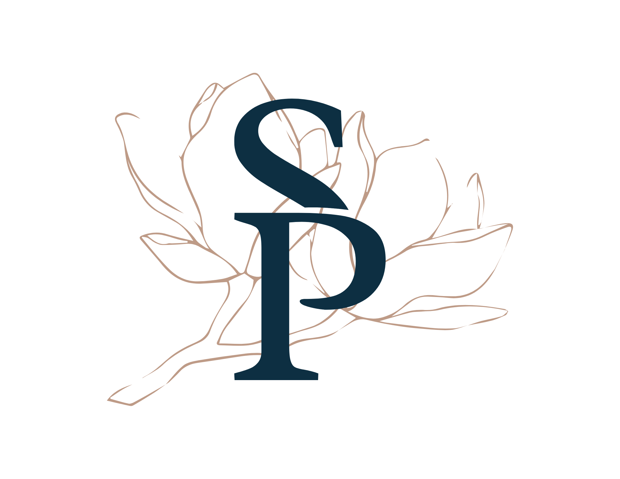 Soileau Partners Style Guide (6).png