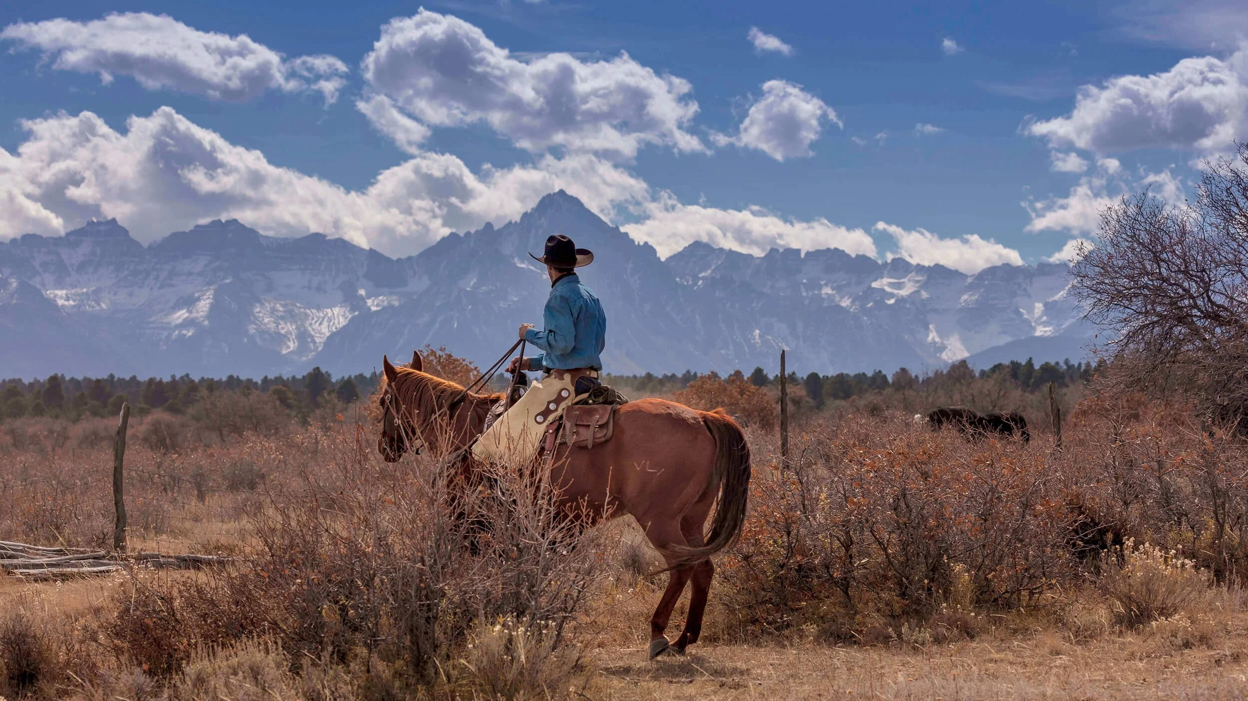 A person riding a horse through a dry, shrub-covered field with snow-capped mountains in the background.