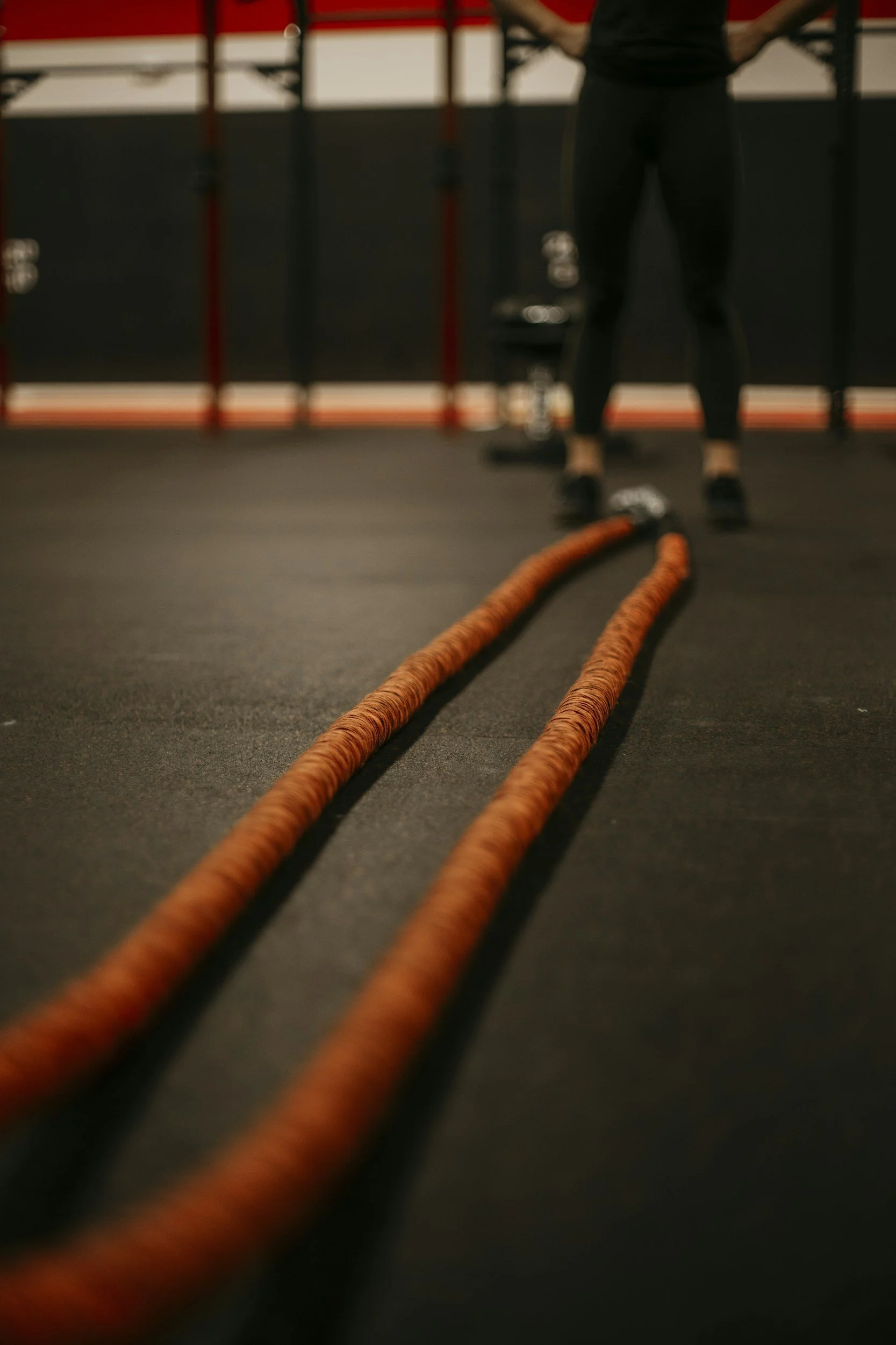 Workout ropes