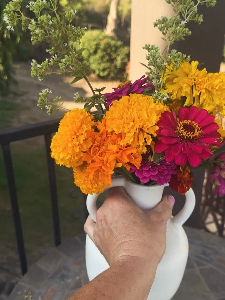 Summer blooms keep popping out fun warm colors, happy July! 
#summerblooms🌸 #marigoldflowers #flowergardening