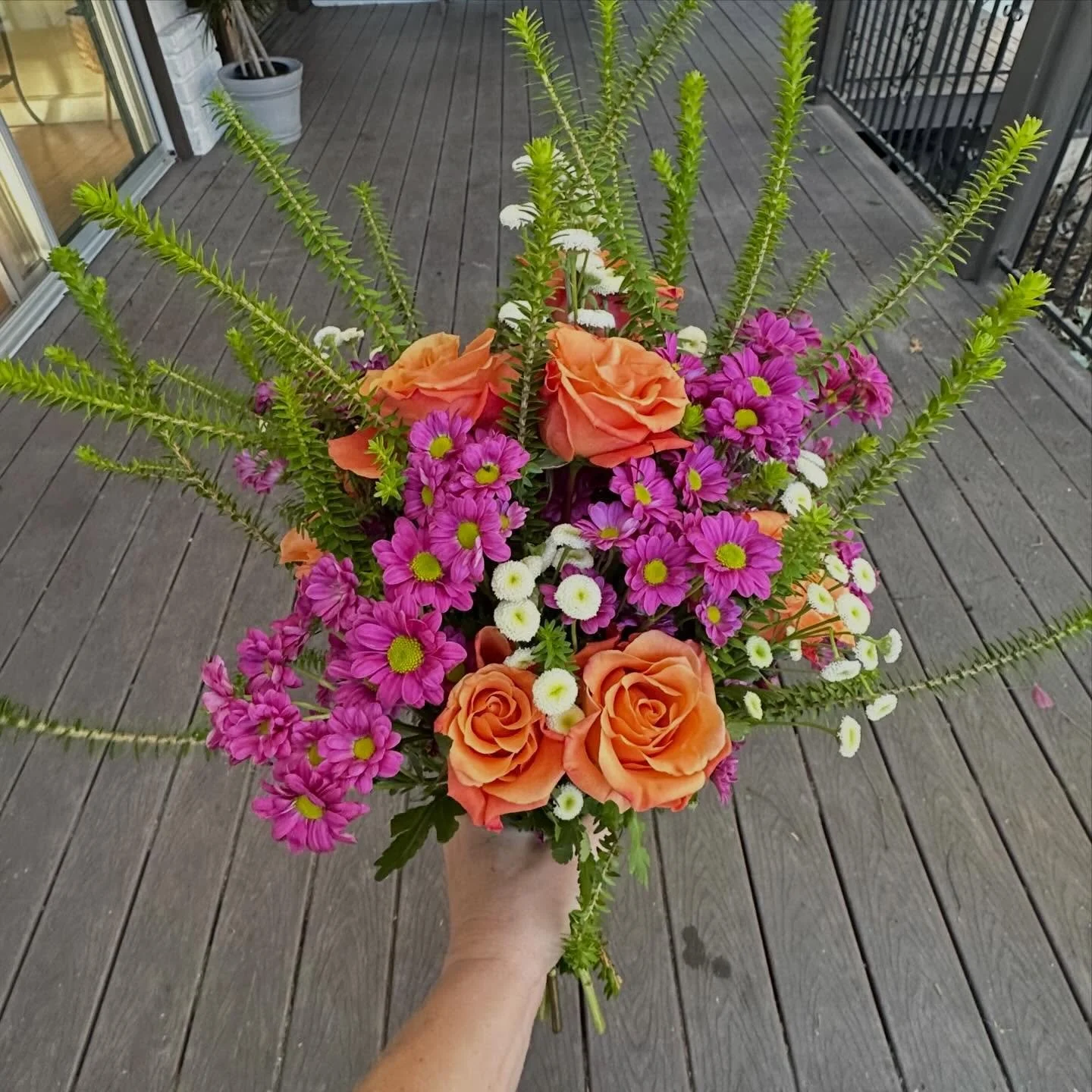 Winter blooms for a pop of color