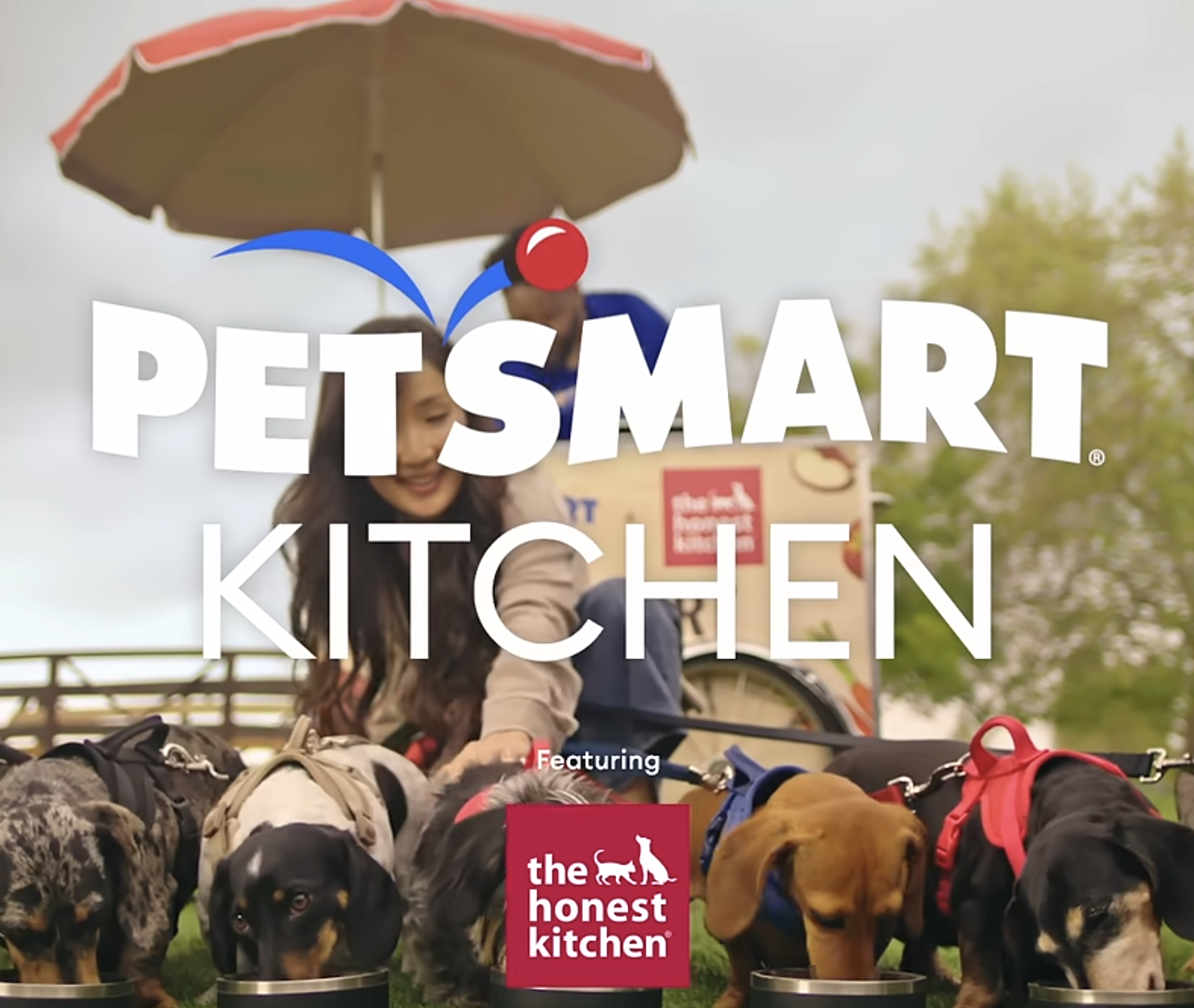PetSmart Kitchen: The Honest Kitchen
