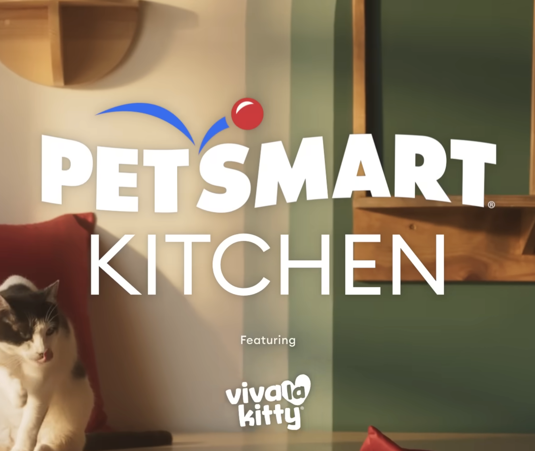 PetSmart Kitchen: Viva La Kitty