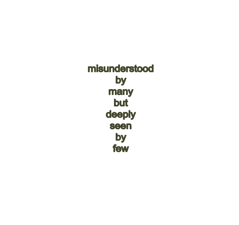 misunderstood.png