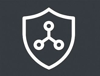 Icon of a shield with a connected node diagram inside