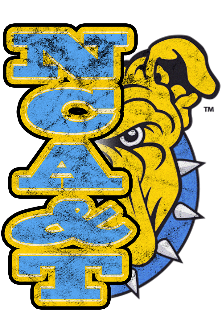 NC A&T 1.png