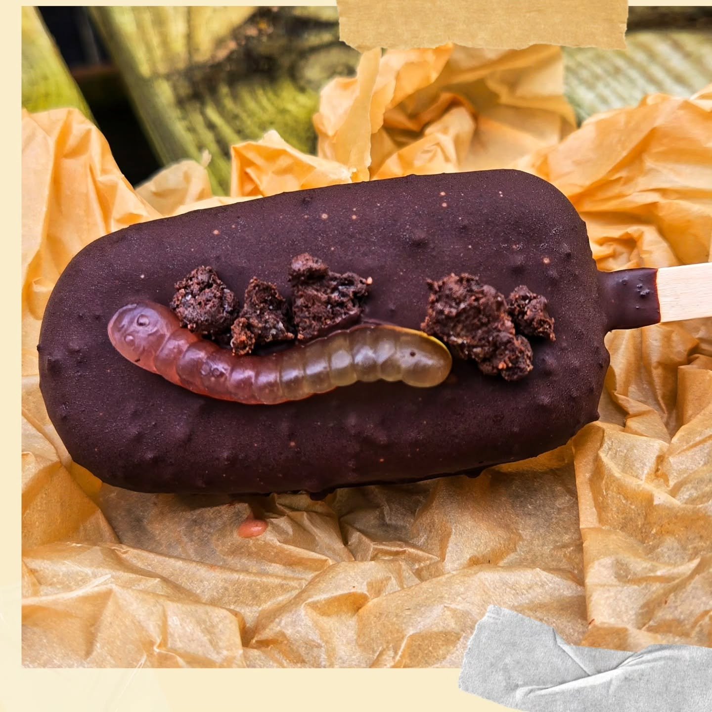 Excited for our Living with the Land themed market tomorrow!!!! Once Upon a Magic Market has created such a fun theme for us to play with!

🌱Chocolate Dirt Bar🌱
chocolate ice cream filled with a crushed oreo crumble and orange-soaked gummies then d
