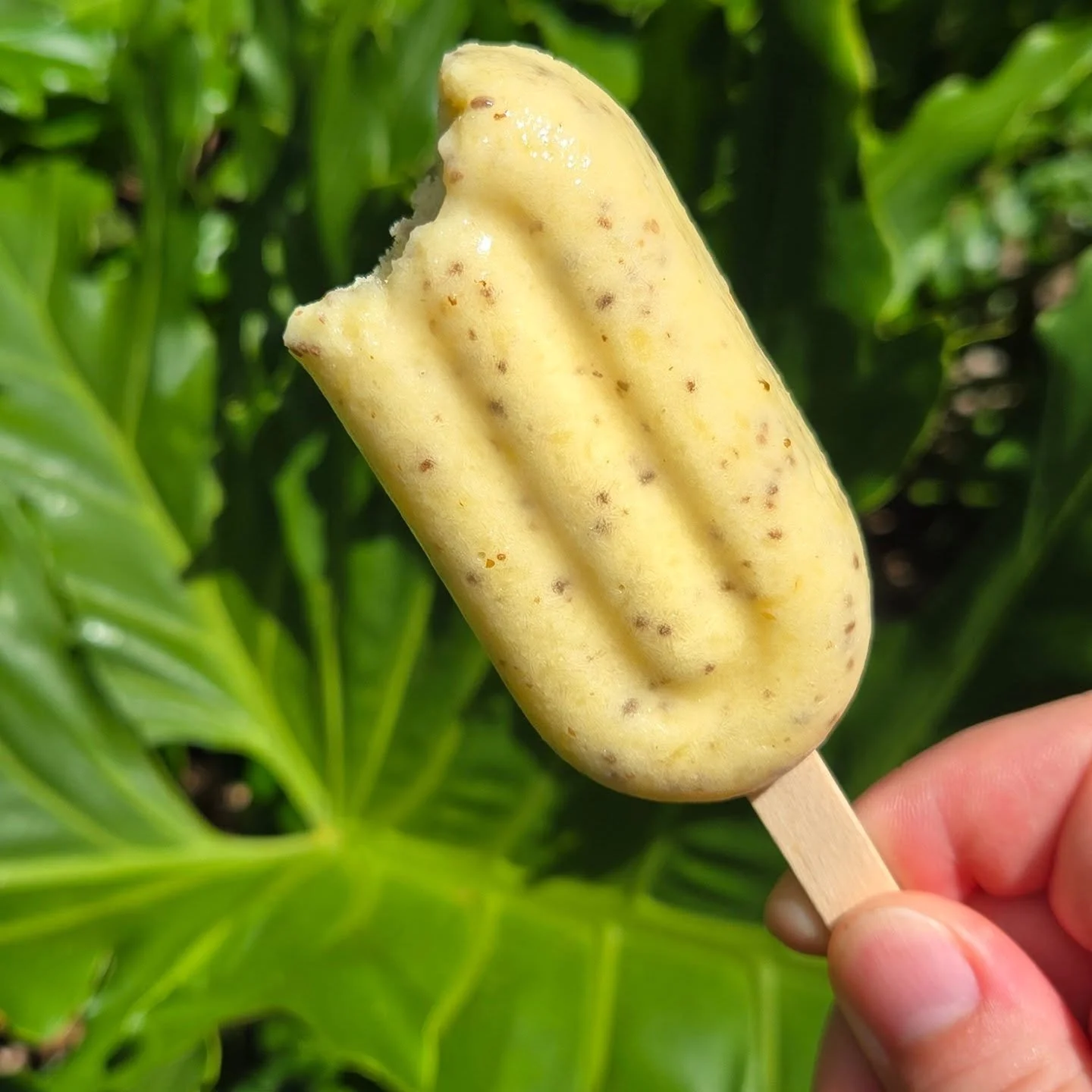 Did you know we have a wide range of flavors that are vegan with natural sugars? Our natural pops change frequently, but this delicious and refreshing Pineapple pop is our special for summer. Come stop by and cool down with one of our natural pops!

