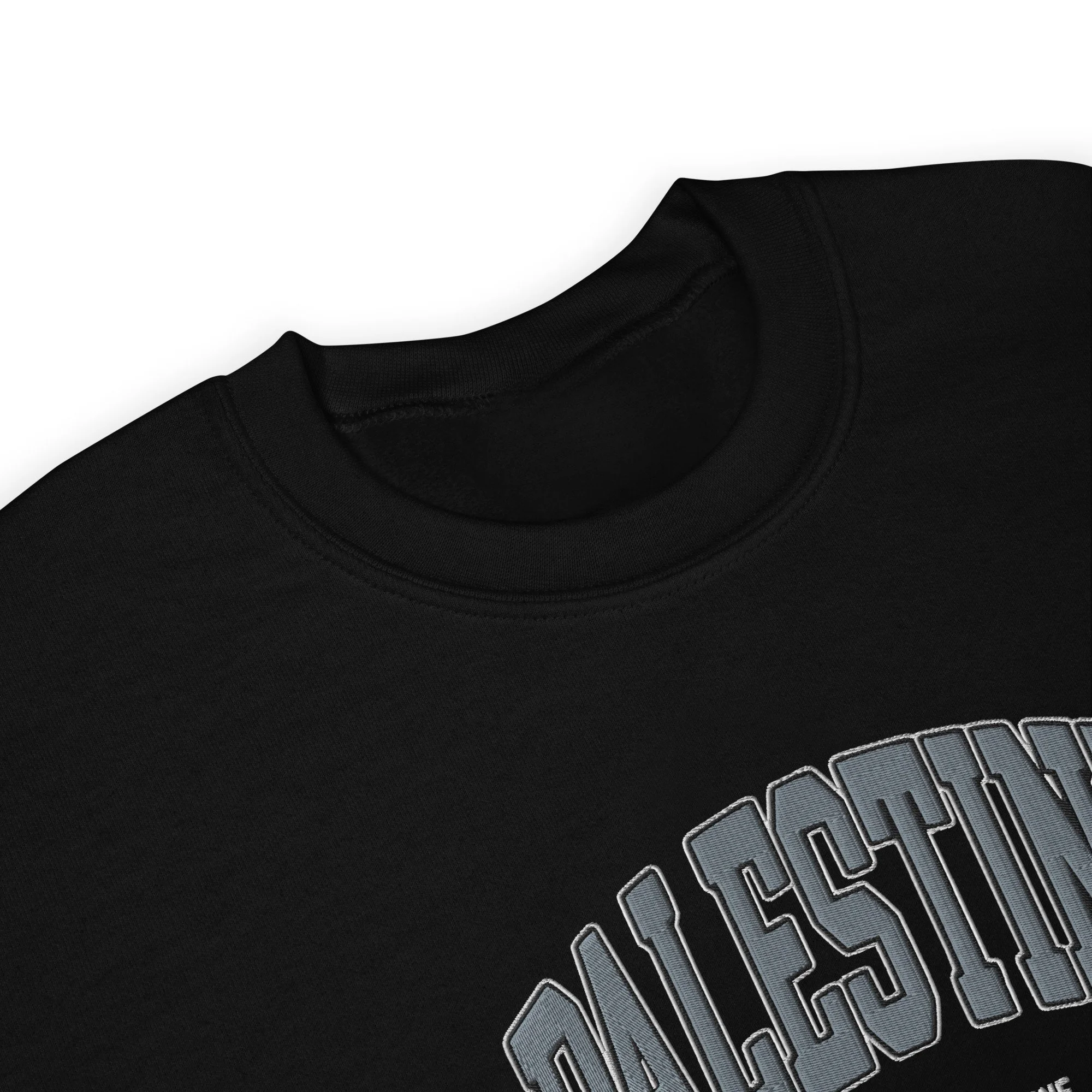 unisex-crew-neck-sweatshirt-black-product-details-68c07ccc2259c - Edited.jpg