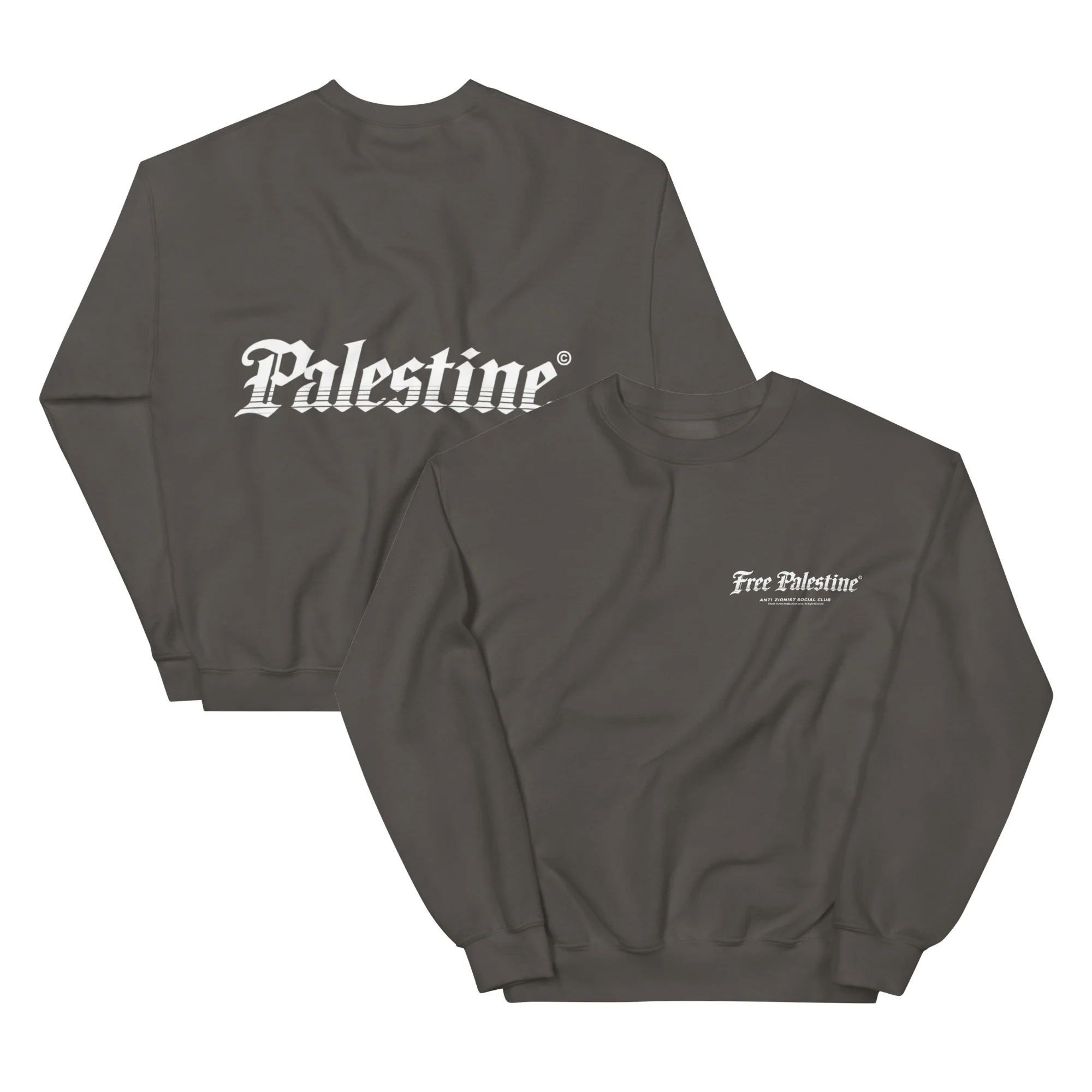 AZSC SWEATSHIRT - PALESTINE® (5).jpg
