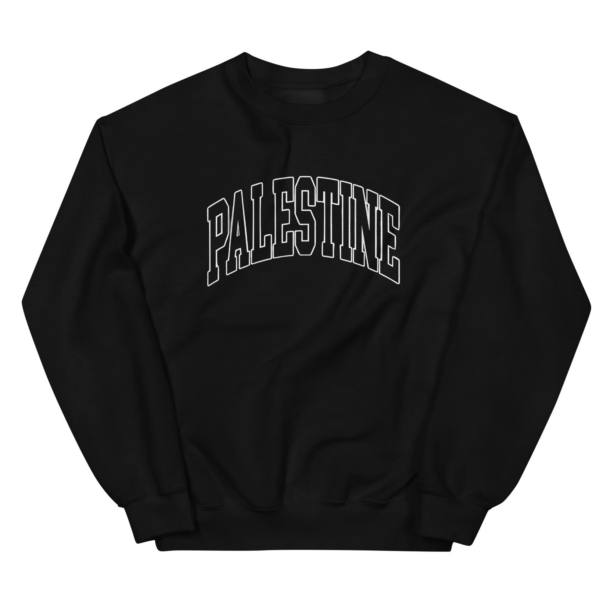 AZSC SWEATSHIRT - PALESTINE COLLEGE