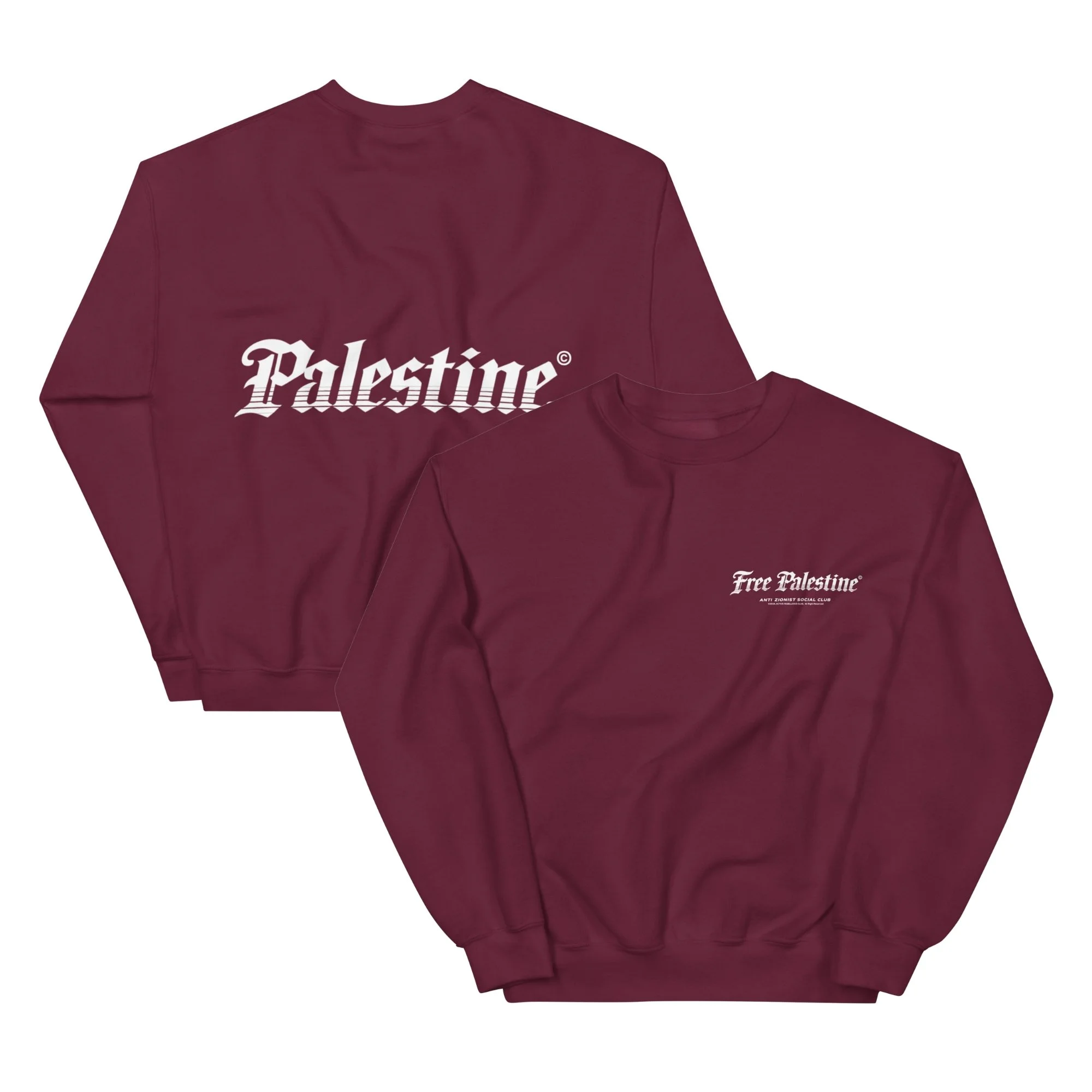 AZSC SWEATSHIRT - PALESTINE® (3).jpg