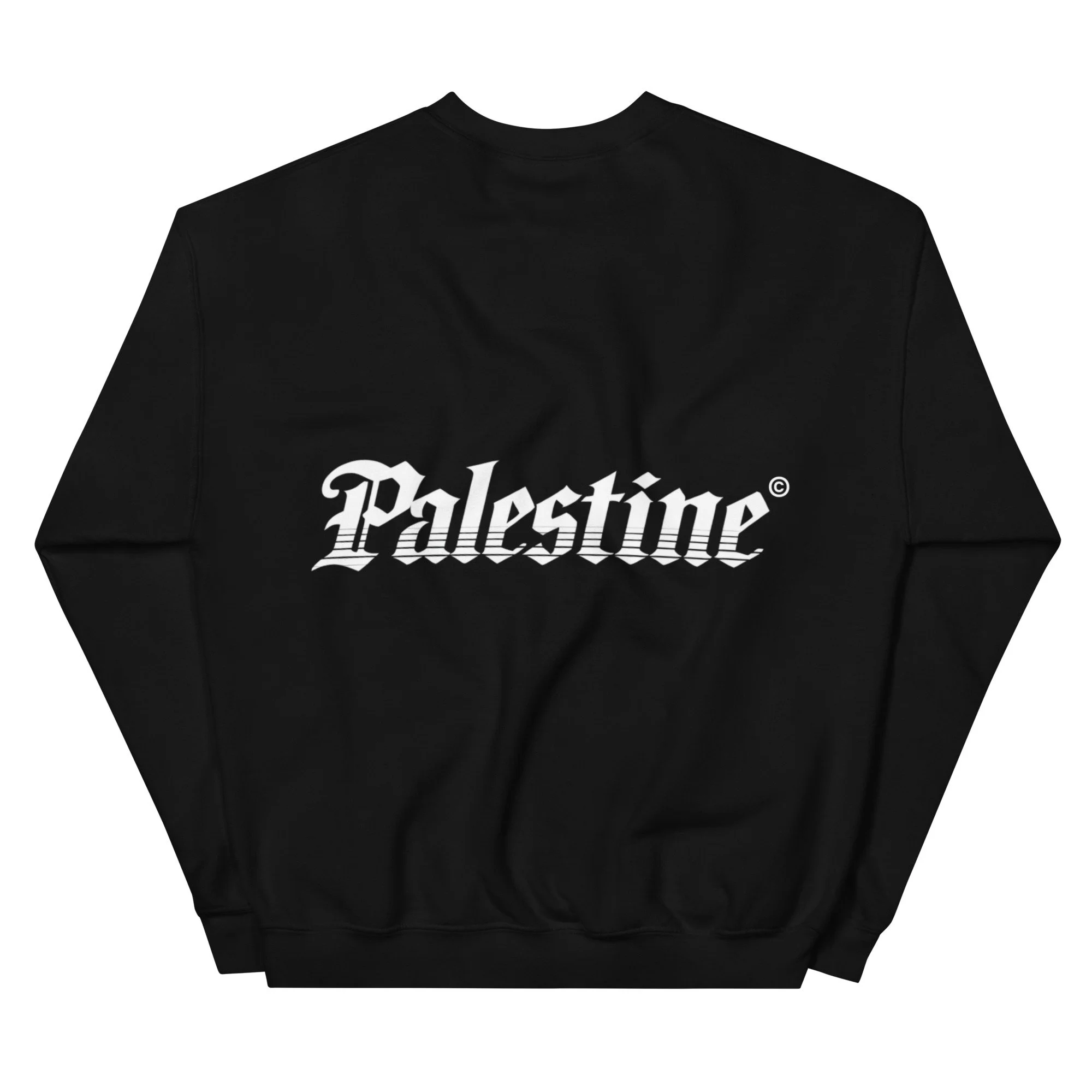 AZSC SWEATSHIRT - PALESTINE® (11).jpg