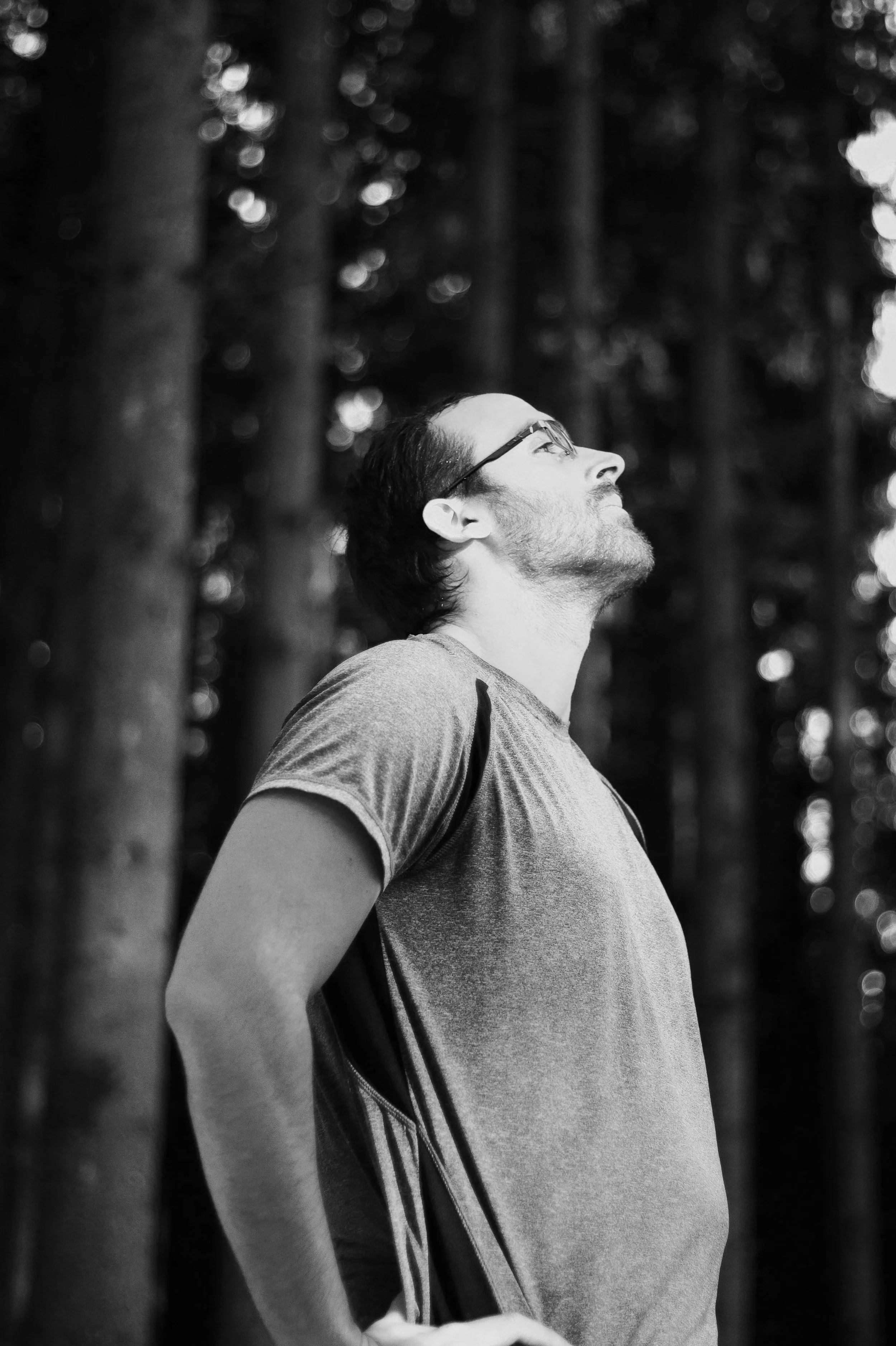 A man with glasses and a beard looking upward, standing outdoors among tall trees, captured in black and white.