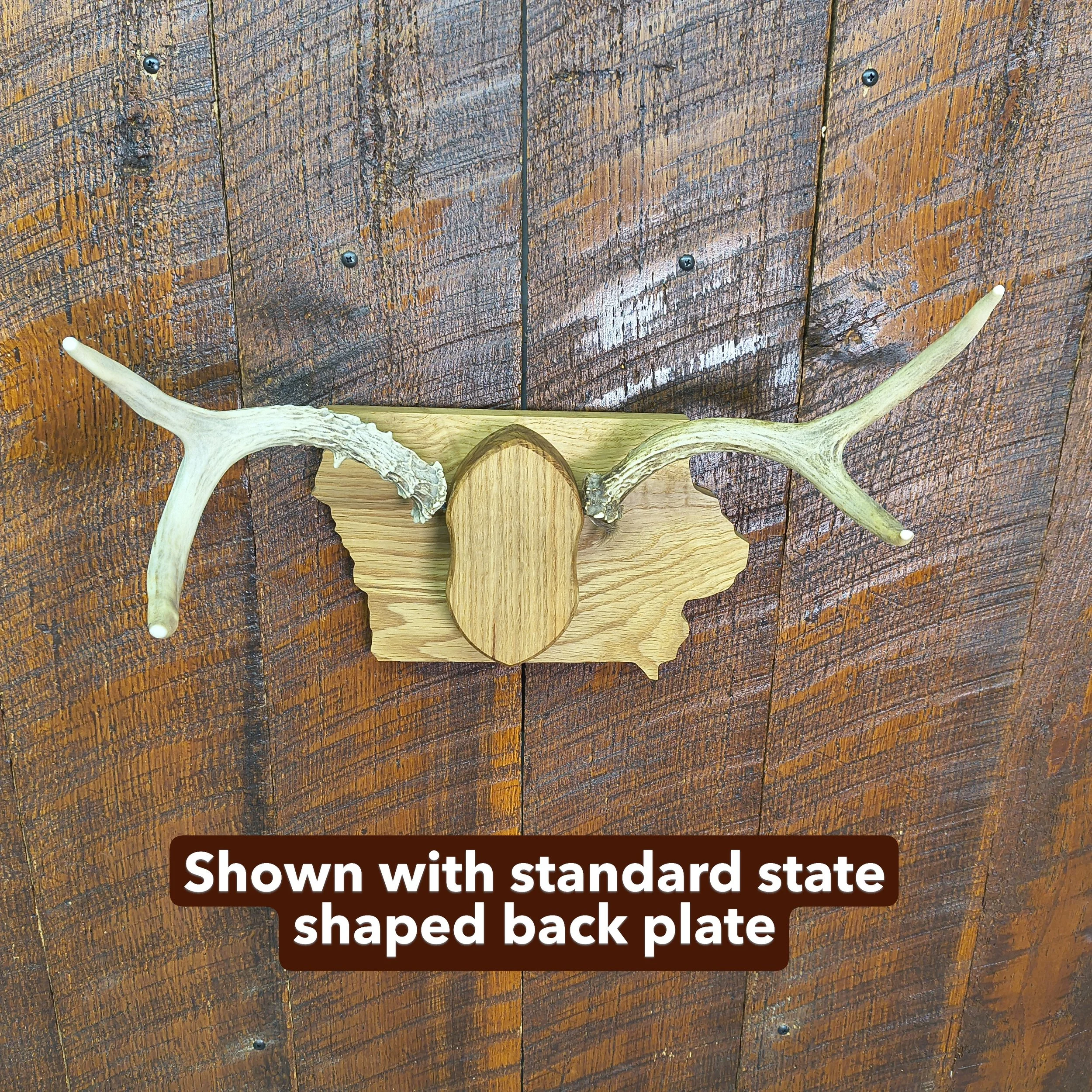 shed mount with state shape.JPG