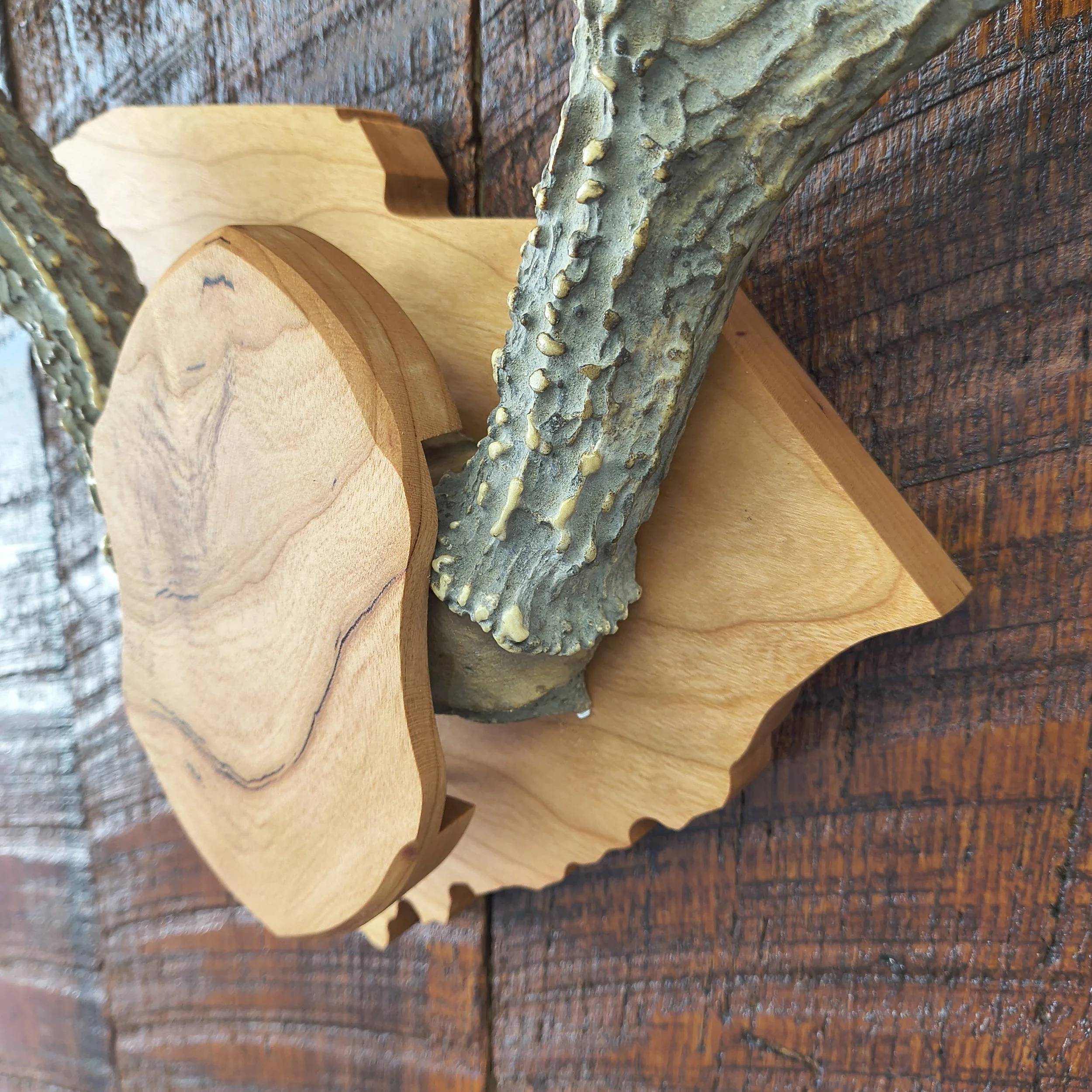 SC antler mount1.jpg