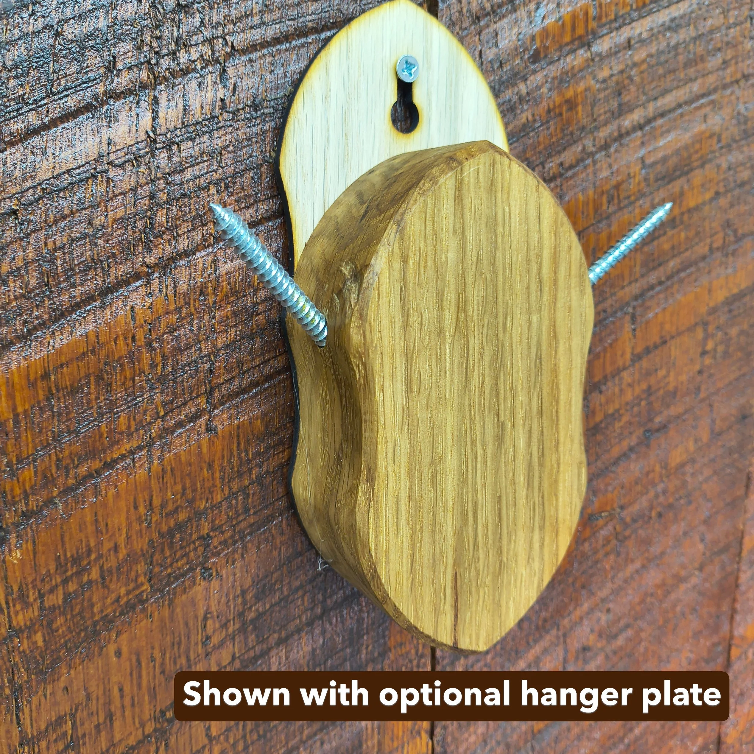 Shed Antler Mounting Kit