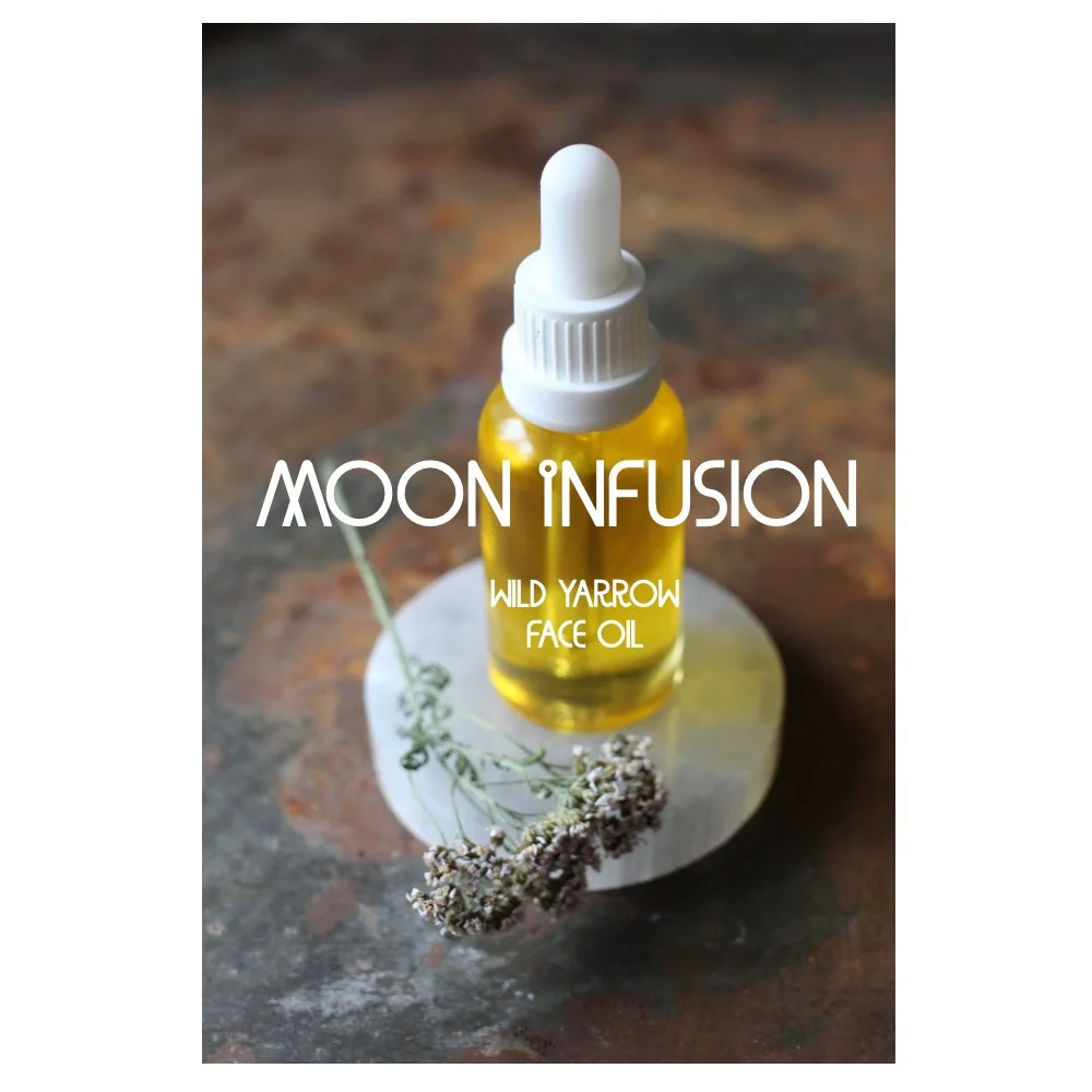 Moon Infusion Face Oil / Wild Yarrow Winter