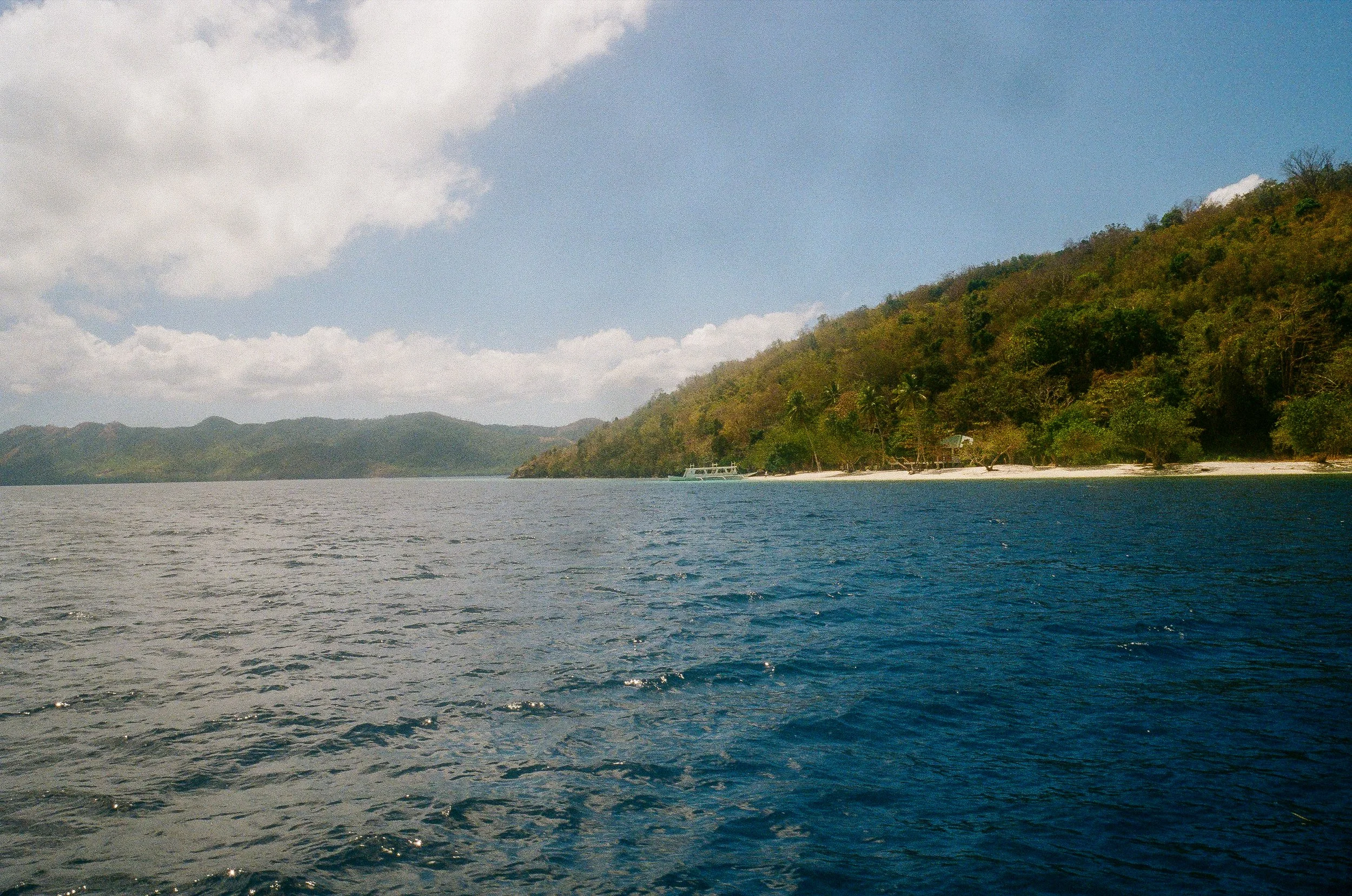 Vue d'une côte tropicale avec des arbres, une plage et l'océan.