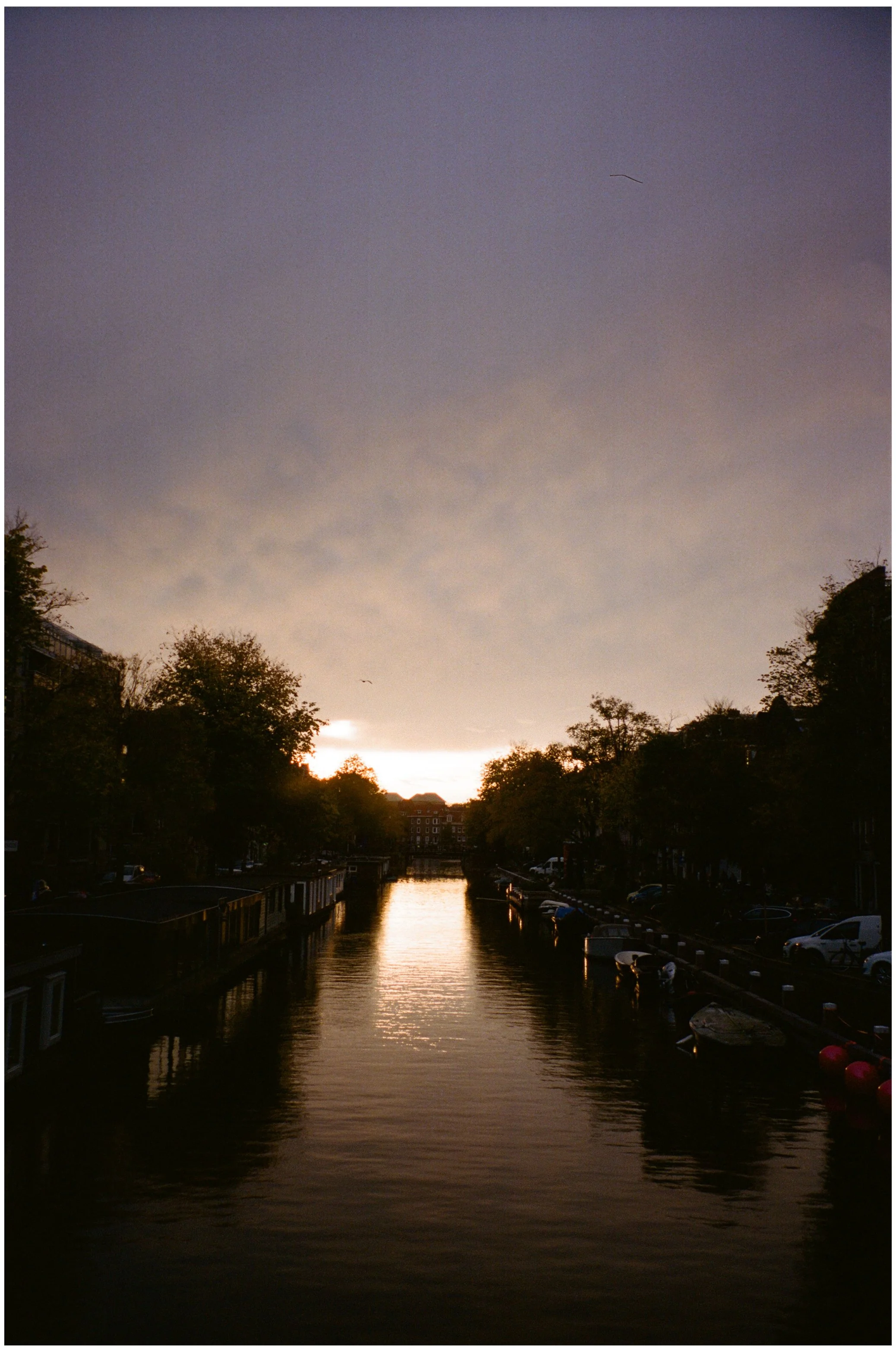 Coucher de soleil sur un canal bordé de maisons et d'arbres, avec des bateaux amarrés, et un ciel nuageux avec un oiseau en vol.