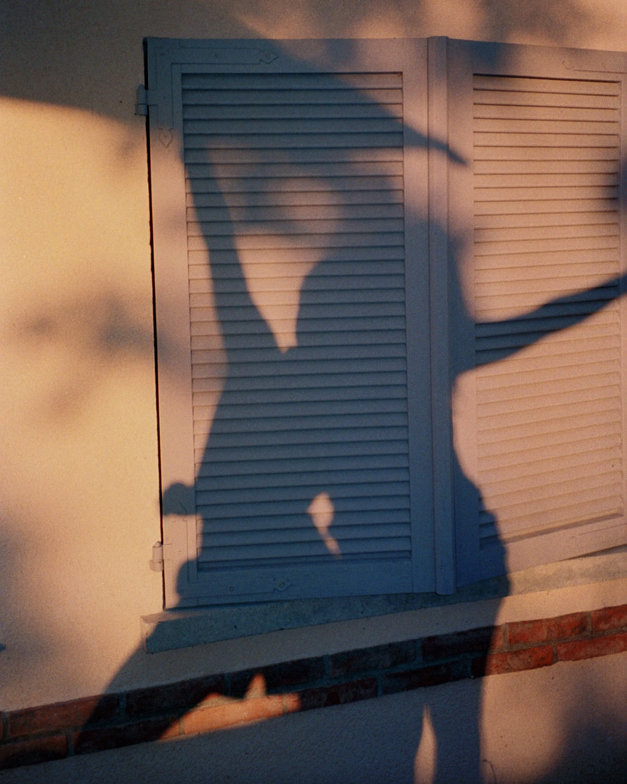 Ombres humaines projetées sur une clôture en bois avec lumière douce