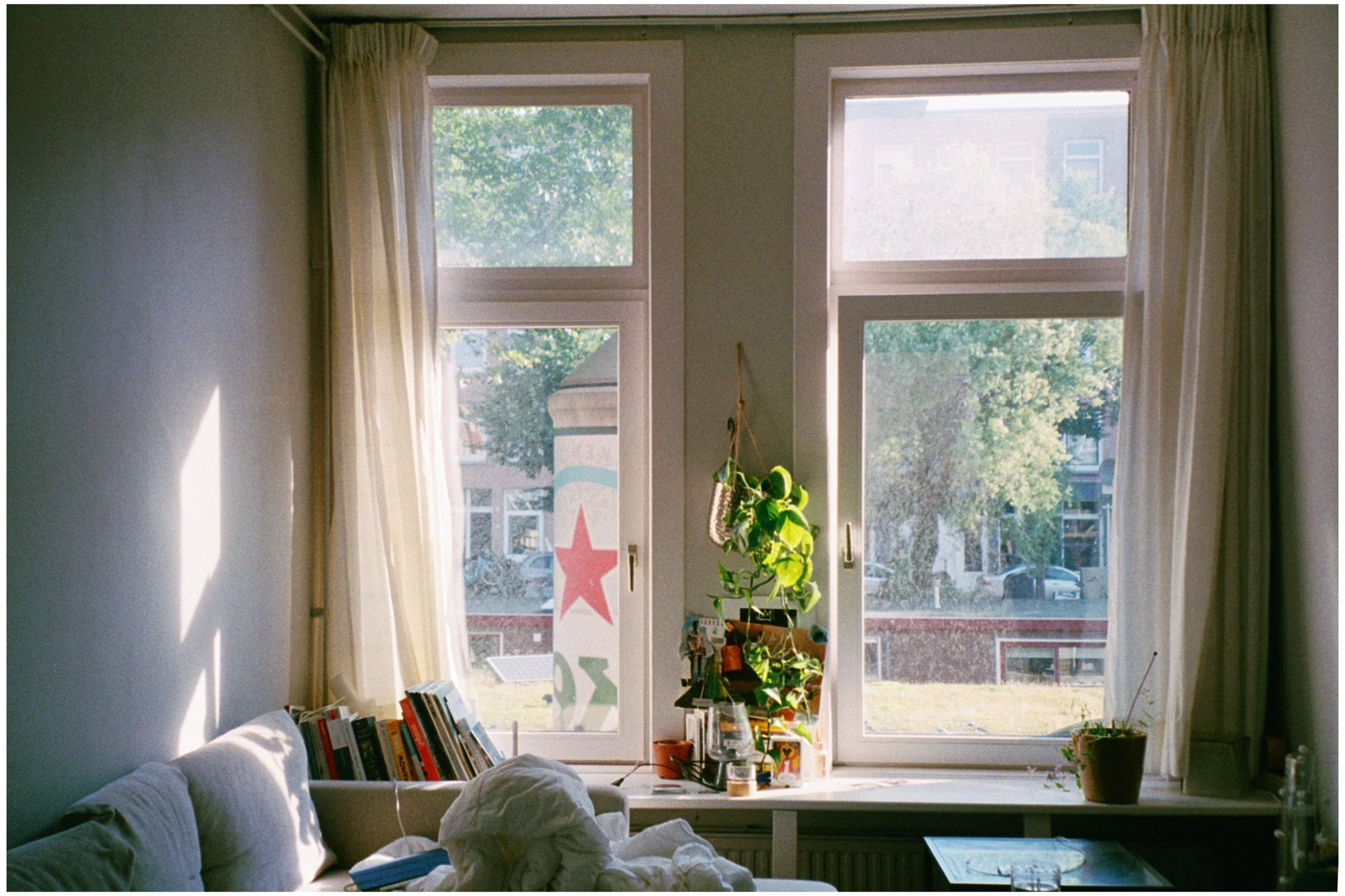 Intérieur d'un salon avec deux grandes fenêtres laissant entrer la lumière du soleil, une plante verte suspendue au centre, des livres empilés sur un canapé blanc, et une fenêtre avec vue sur des arbres et des bâtiments extérieurs.