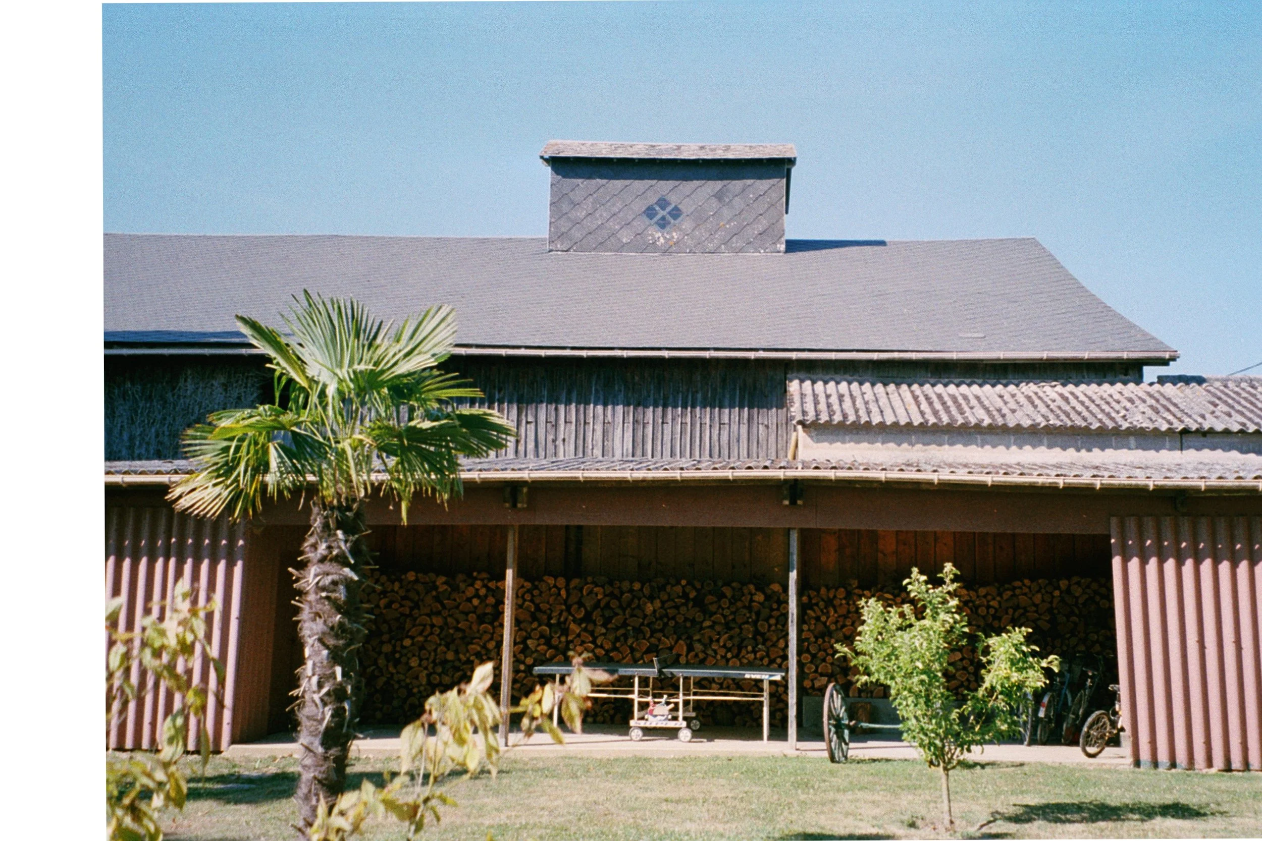 Maison en bois avec un toit en tuiles, un palmier, un arbre jeune, du bois empilé et un vélo dans la cour.