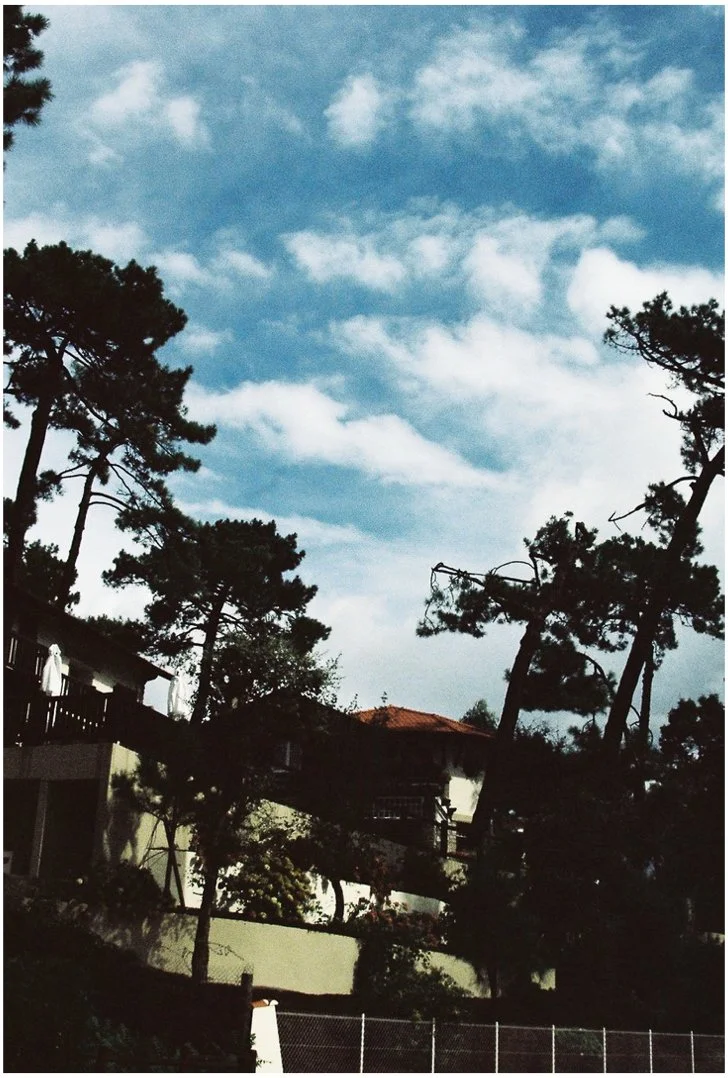 Maisons entourées d'arbres dans un paysage résidentiel sous un ciel partiellement nuageux.