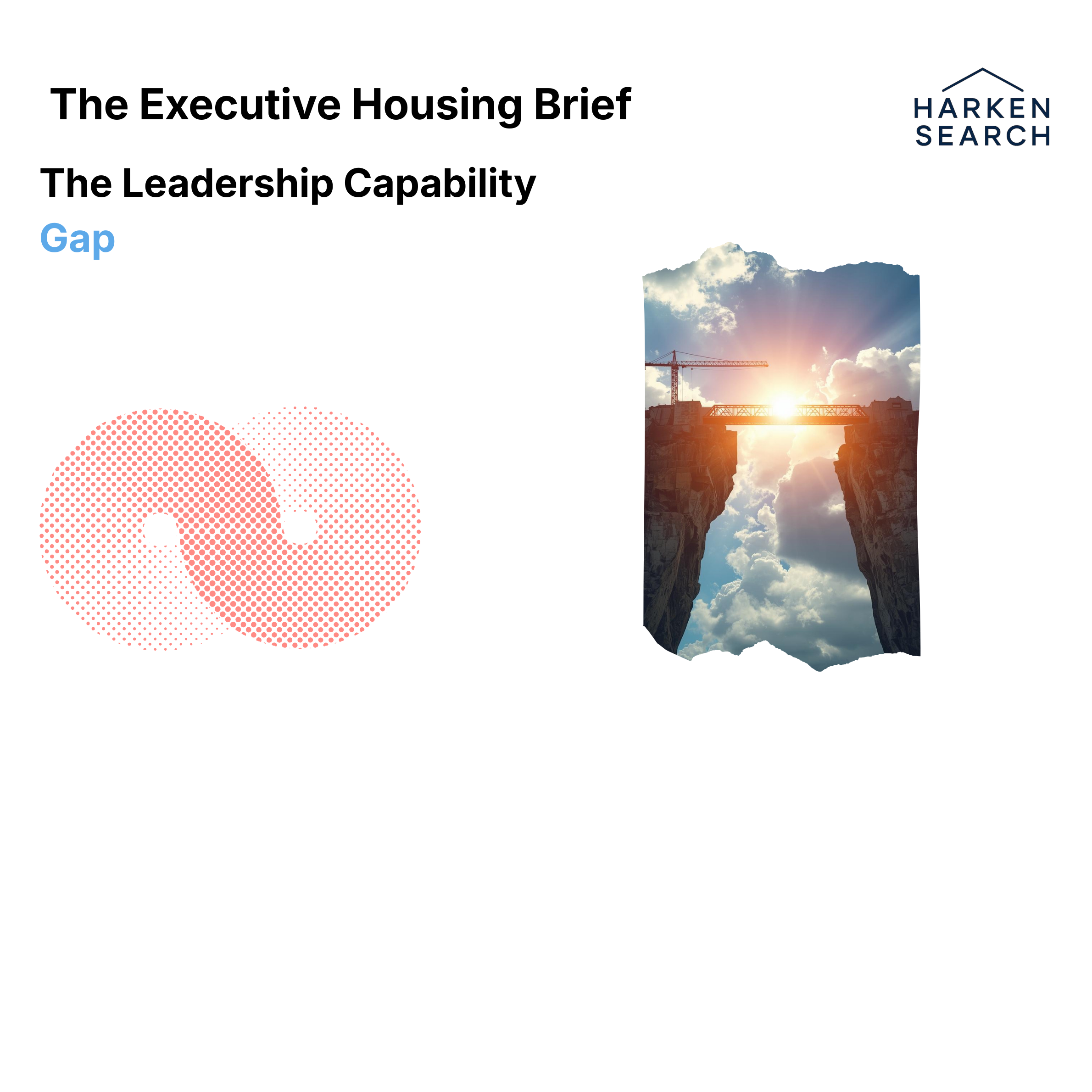 The Leadership Capability Gap